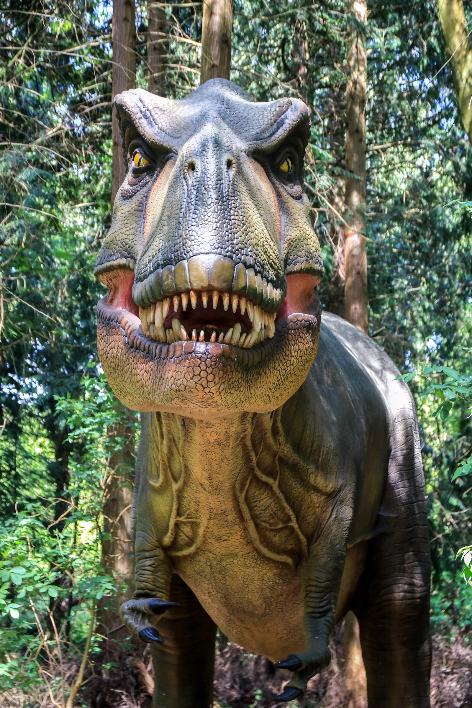 Knuthenborg Safari Park in Maribo – Ausflug mit Kindern, Foto 7