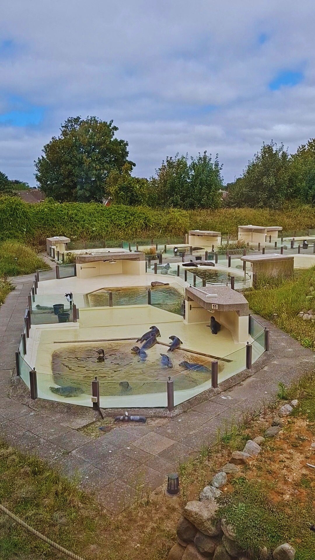 Seehunde in Friedrichskoog hautnah erleben – Ausflug mit Kindern, Foto 2