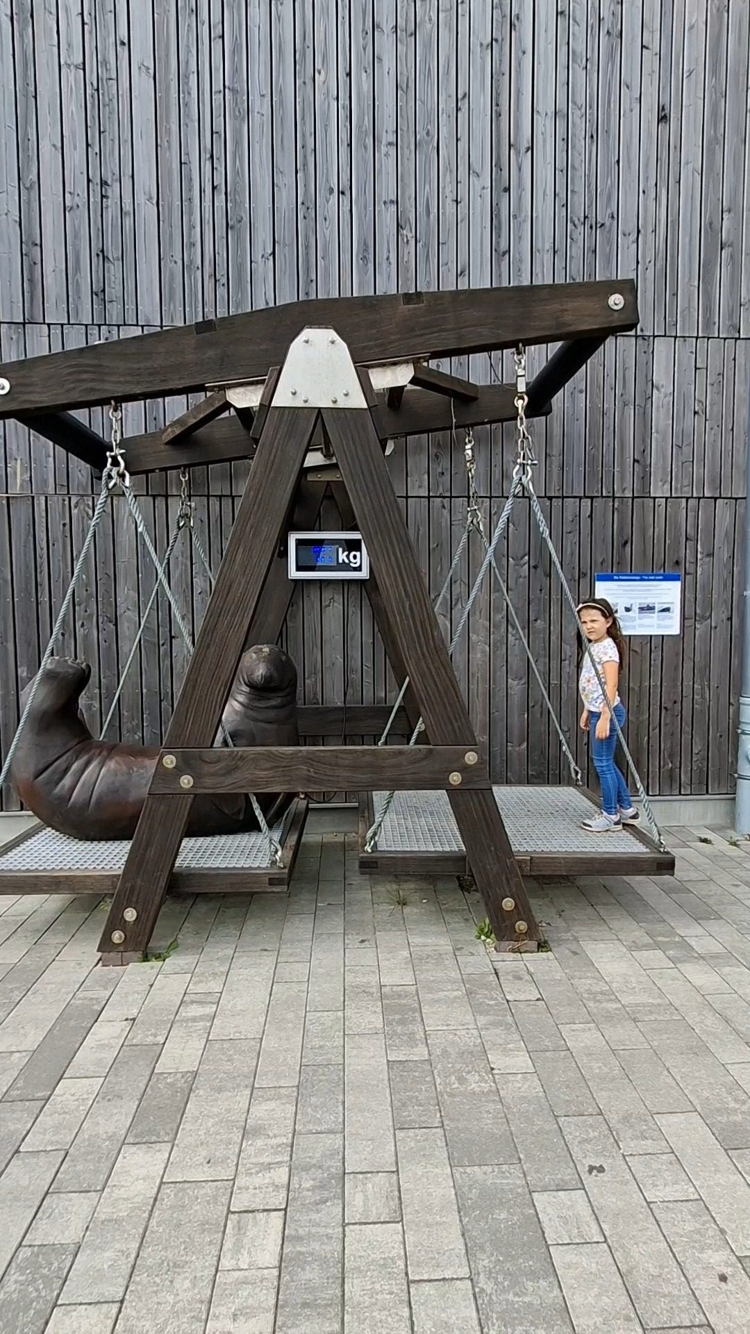 Seehunde in Friedrichskoog hautnah erleben – Ausflug mit Kindern, Foto 4