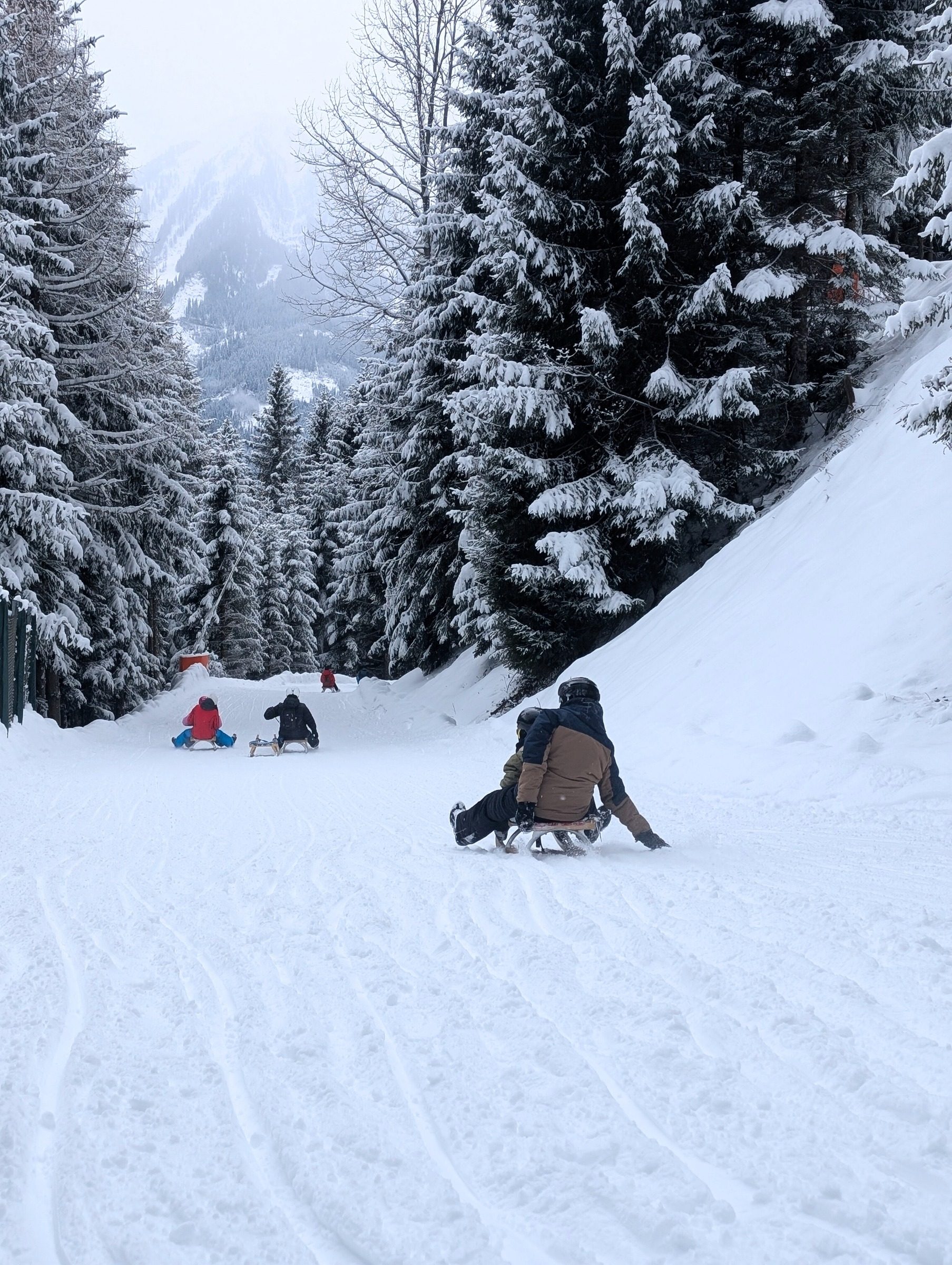 14km Rodelspaß am Wildkogel – Ausflug mit Kindern, Foto 3