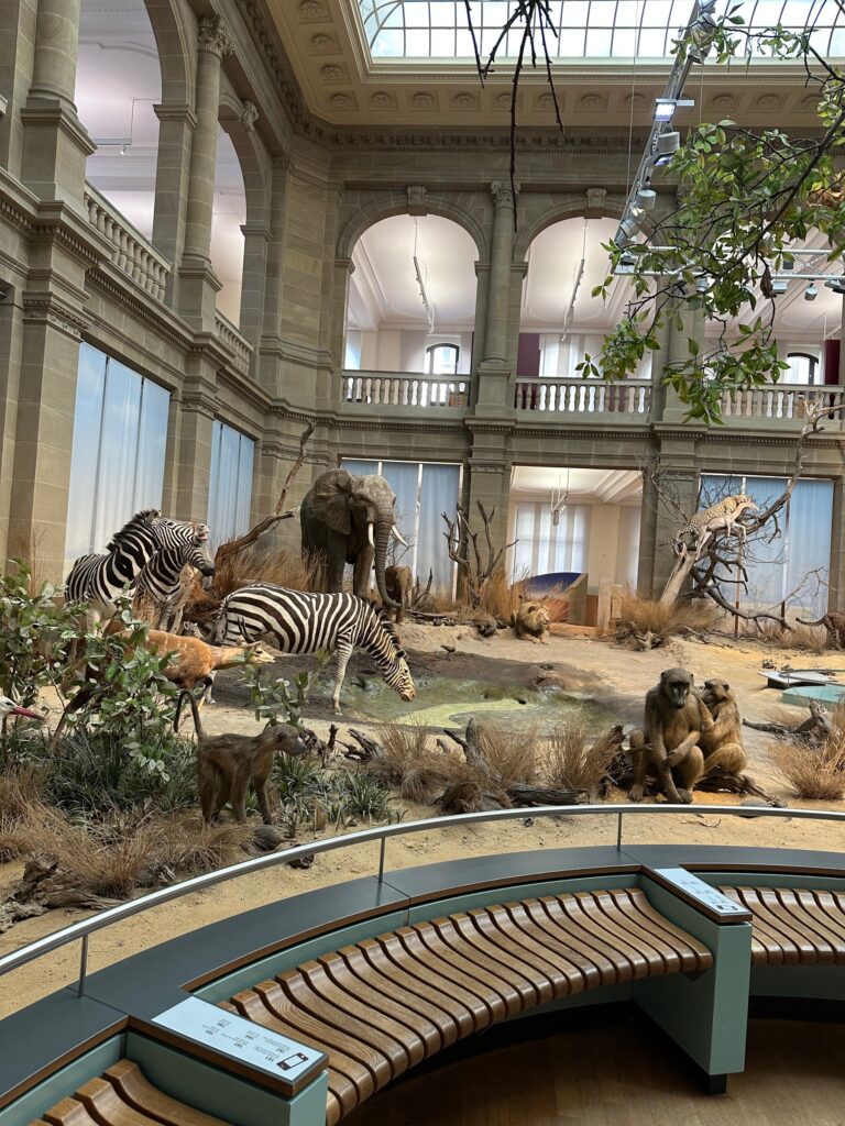 Museum König in Bonn