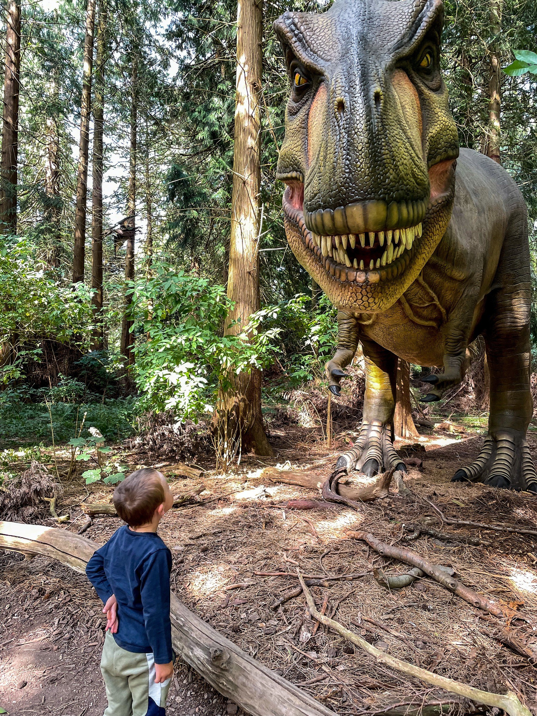 Knuthenborg Safari Park in Maribo – Ausflug mit Kindern, Foto 8