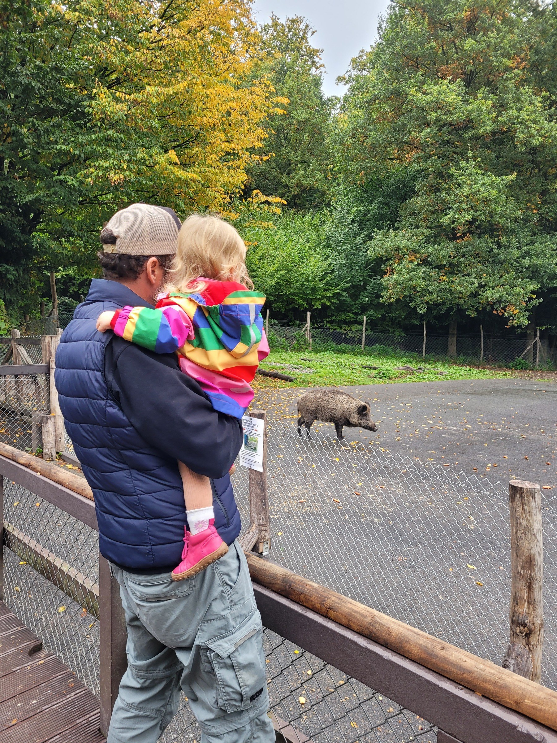 Wildpark Grafenberg in Düsseldorf – Ausflug mit Kindern, Foto 4