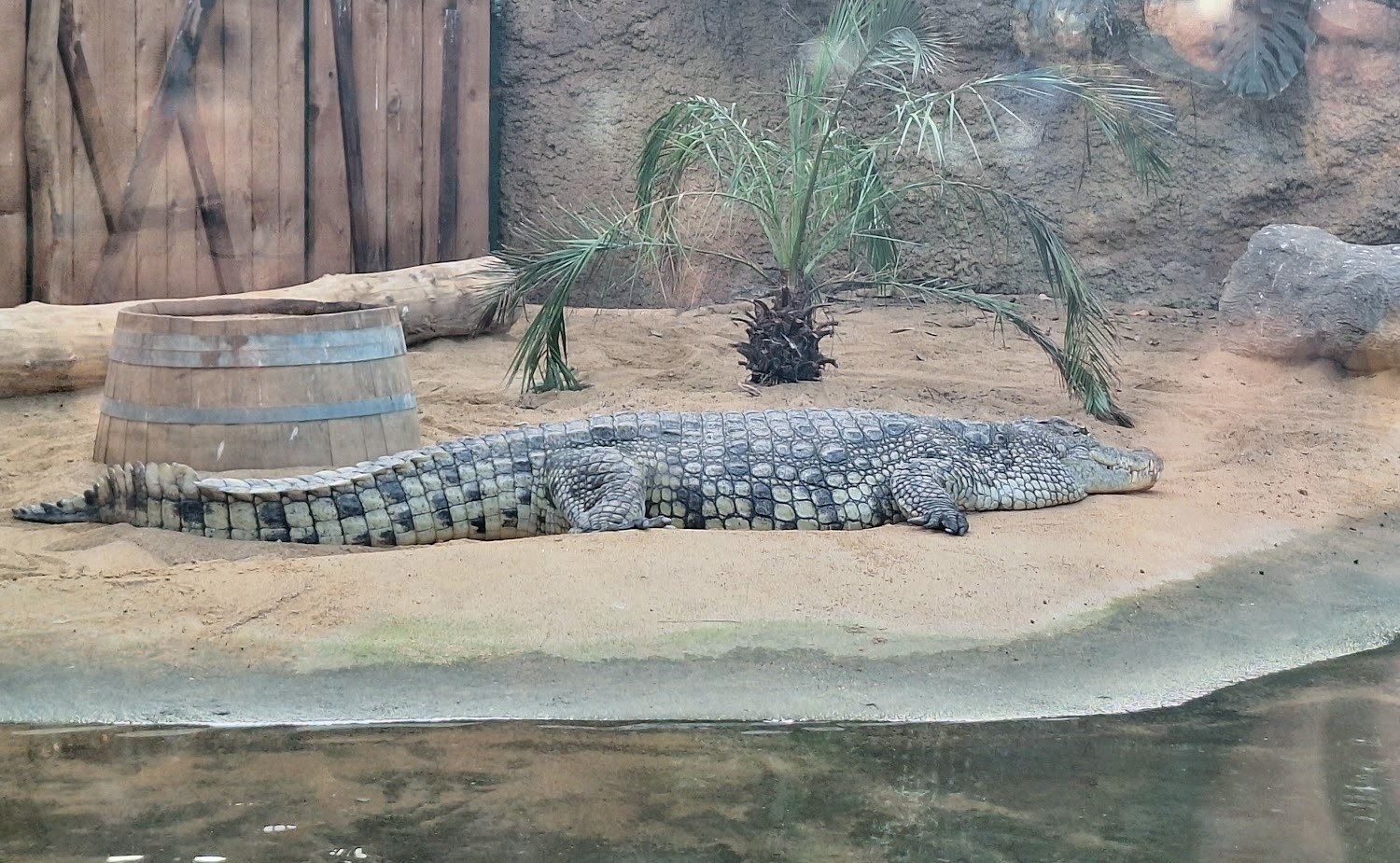 Kölner Zoo in Köln – Ausflug mit Kindern, Foto 3