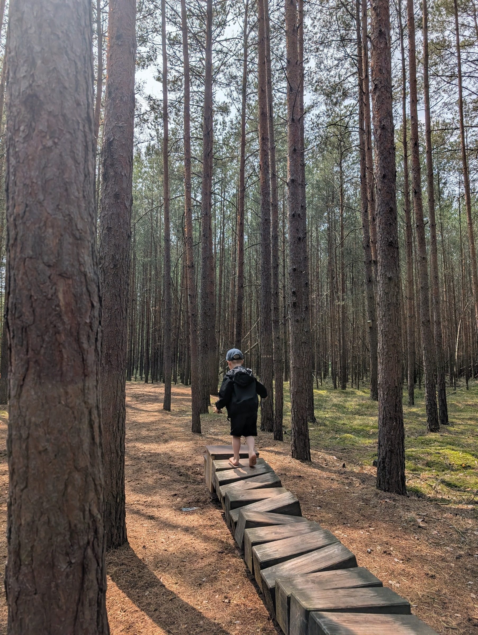 Barfußpark Beelitz-Heilstätten – Ausflug mit Kindern, Foto 10
