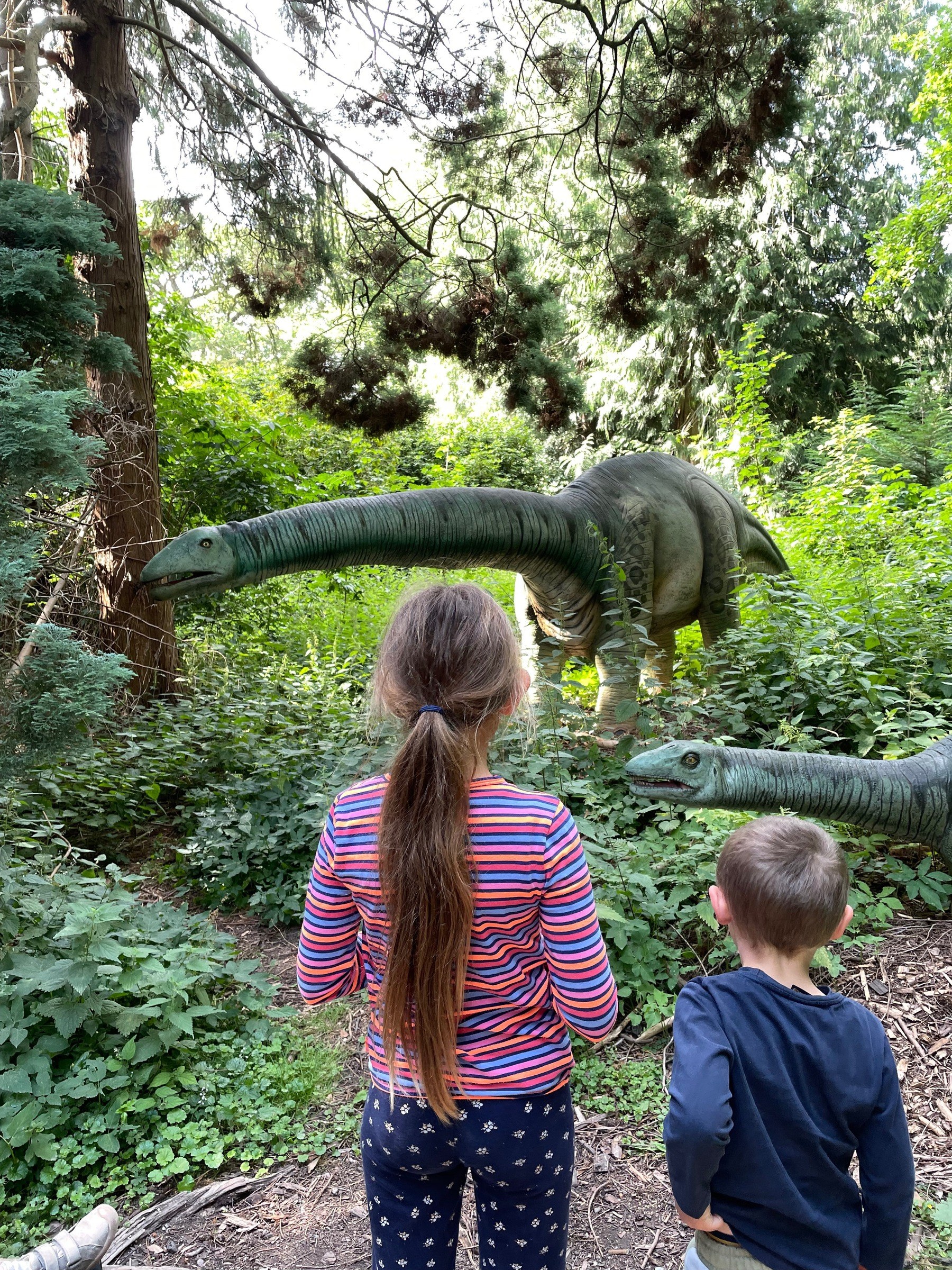 Knuthenborg Safari Park in Maribo – Ausflug mit Kindern, Foto 9