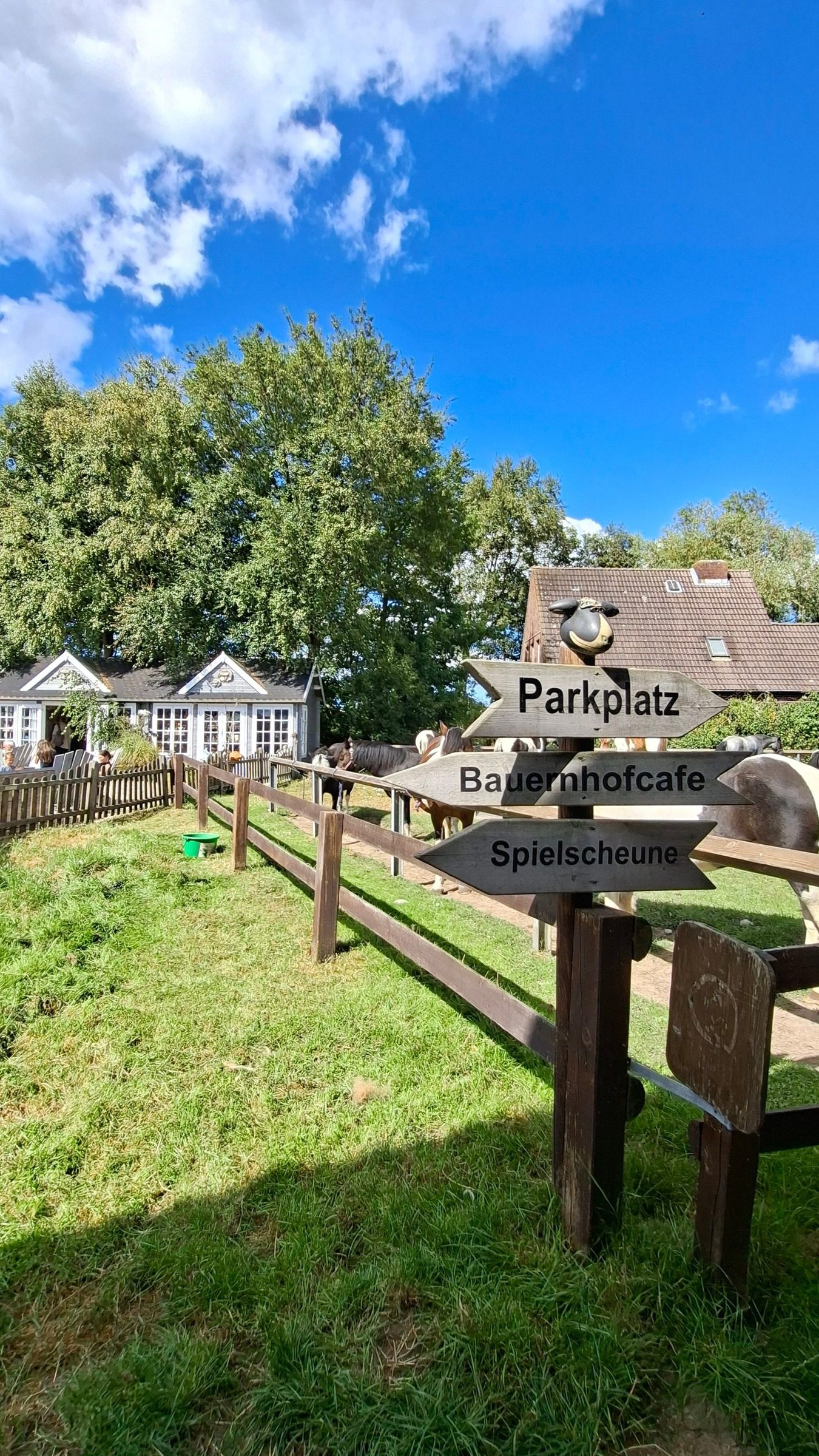 Määäh-r am Meer in Büsumer Deichhausen – Ausflug mit Kindern, Foto 2