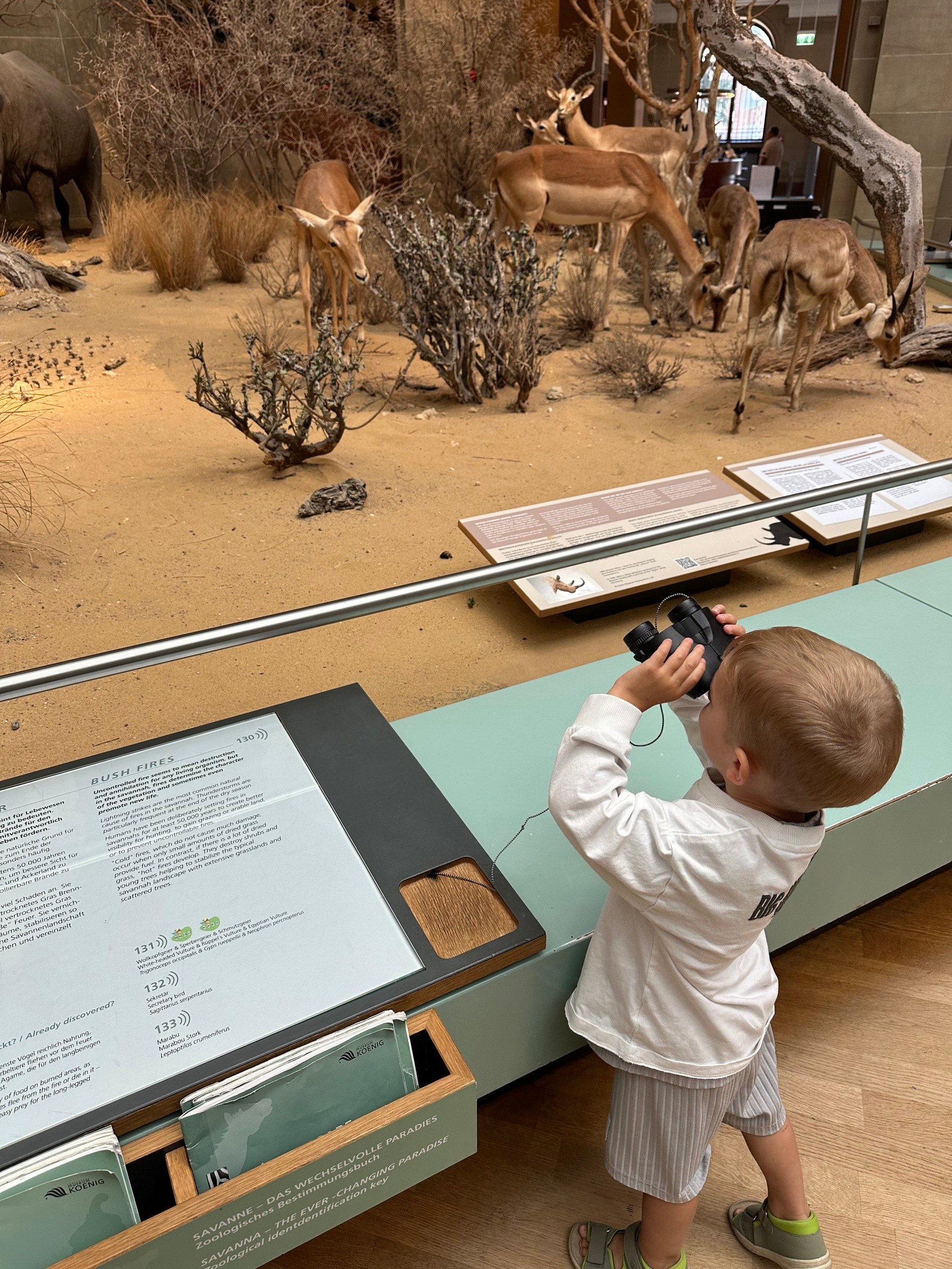 Museum König in Bonn – Ausflug mit Kindern, Foto 2