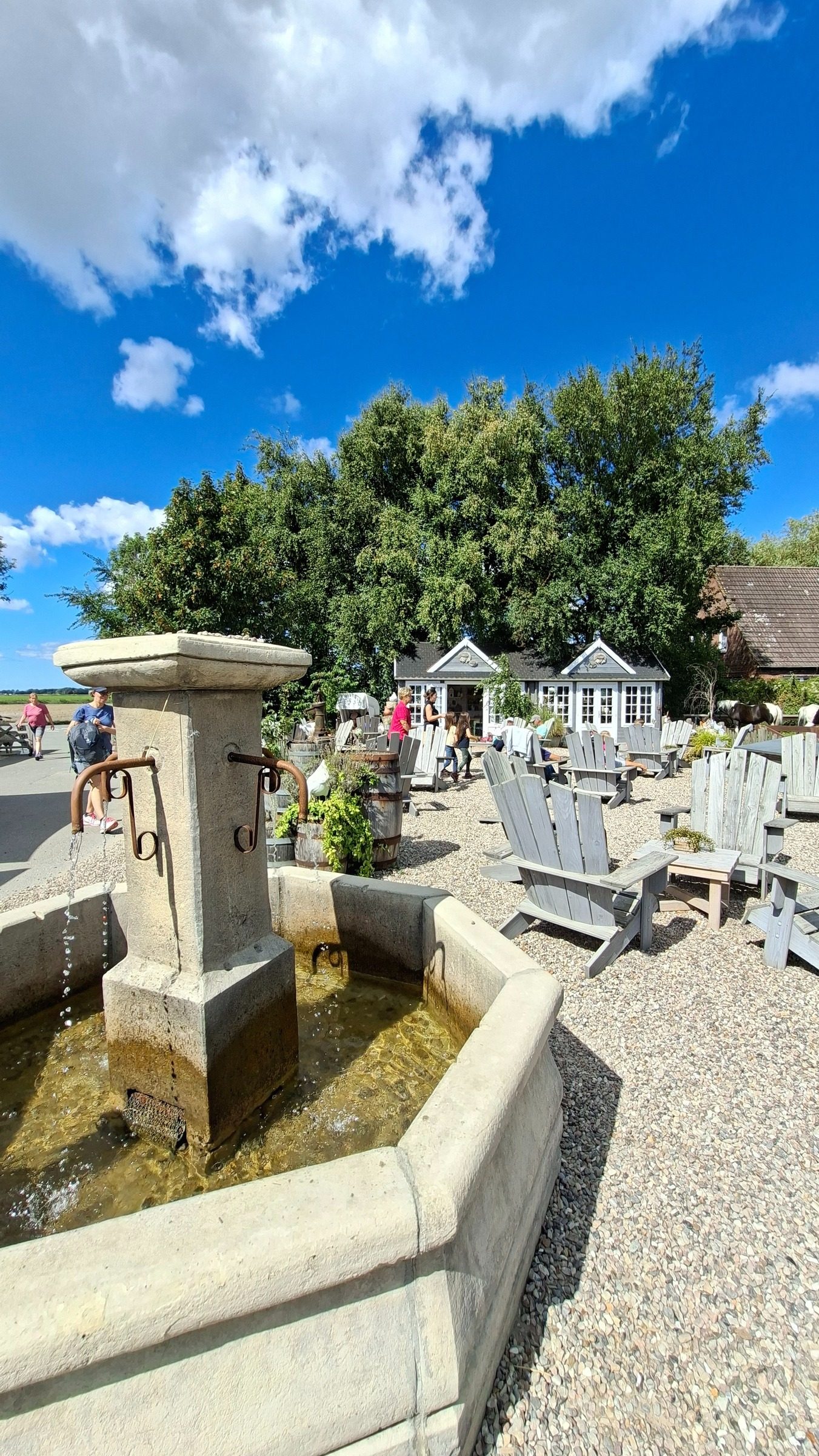 Määäh-r am Meer in Büsumer Deichhausen – Ausflug mit Kindern, Foto 3