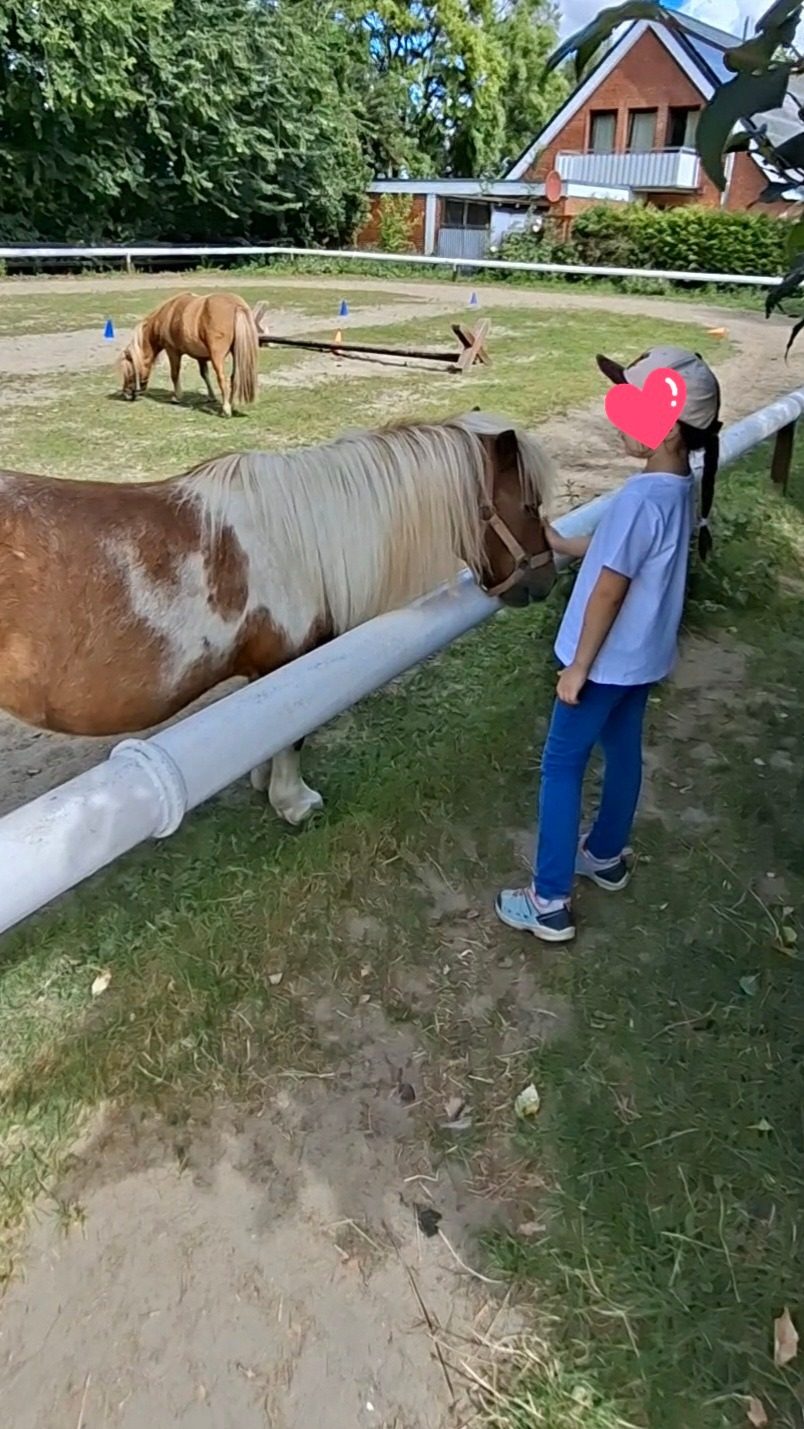 Määäh-r am Meer in Büsumer Deichhausen – Ausflug mit Kindern, Foto 5
