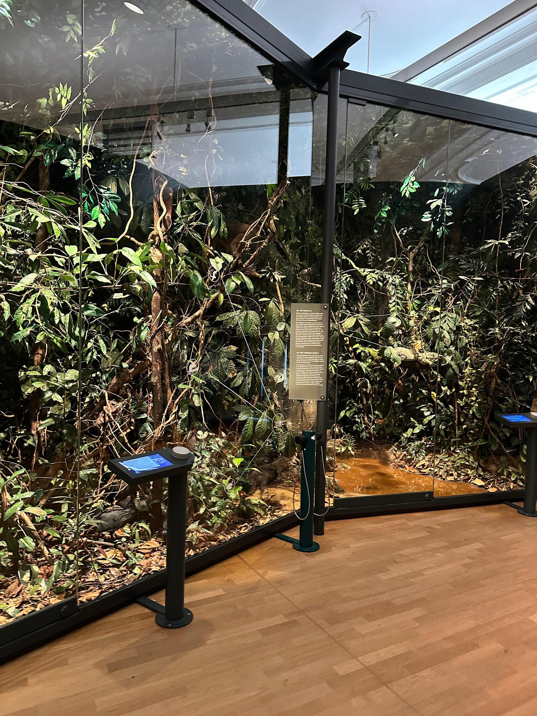 Museum König in Bonn – Ausflug mit Kindern, Foto 3