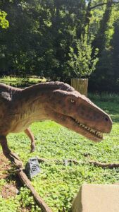 Dinoworld, Dino VR Timeride und Zoo Köln