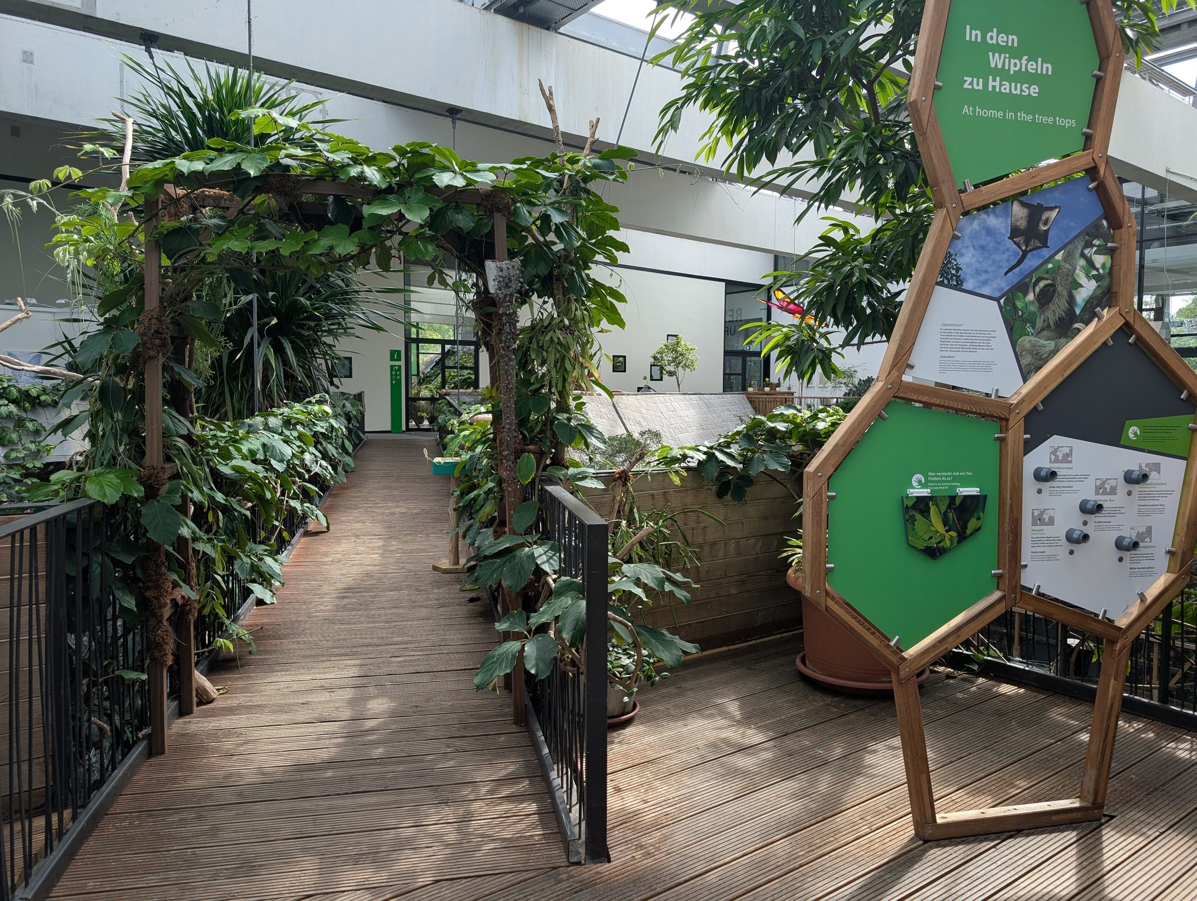 Biosphäre Potsdam – Ausflug mit Kindern, Foto 2