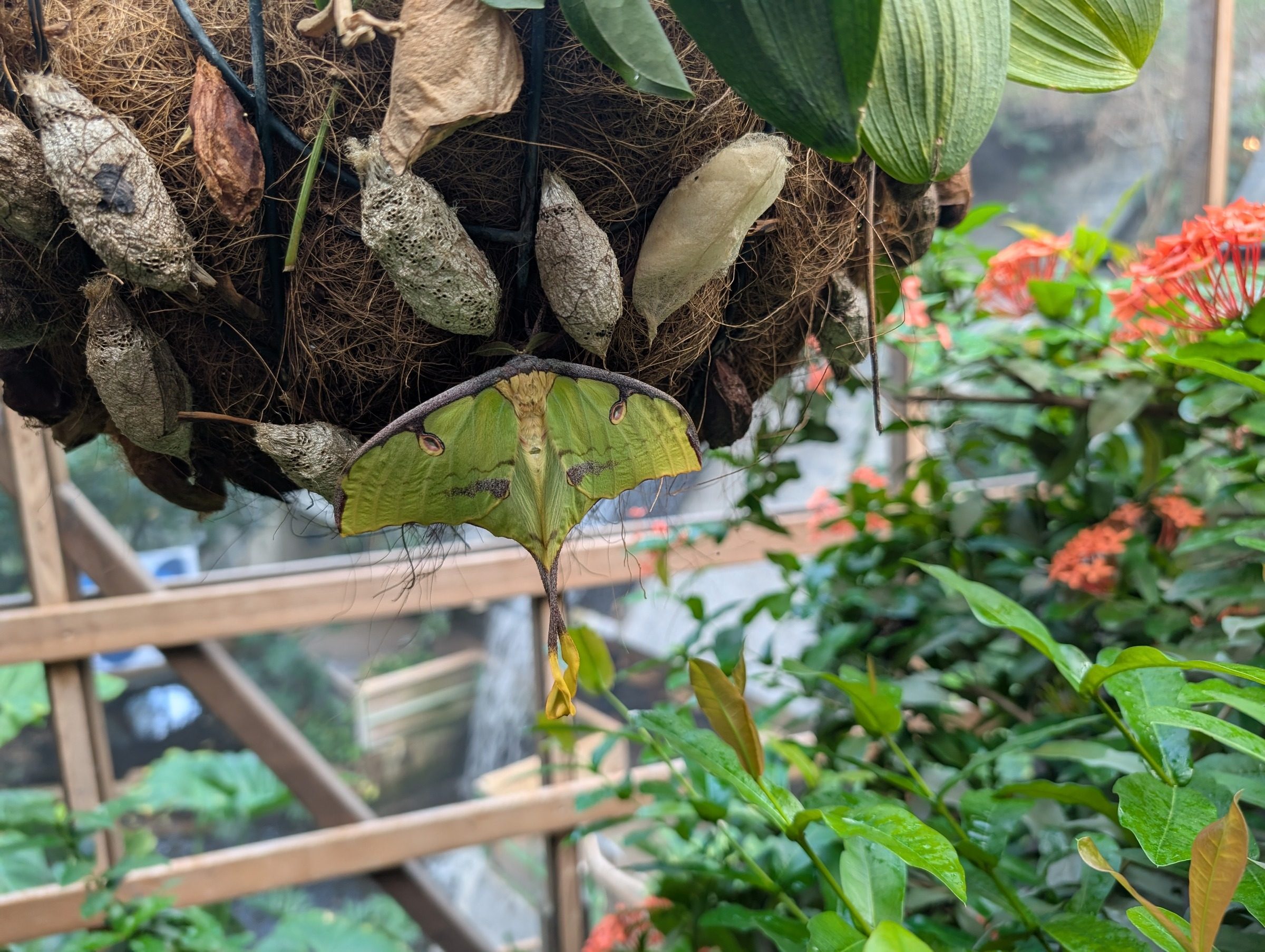 Biosphäre Potsdam – Ausflug mit Kindern, Foto 3
