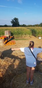 Maislabyrinth von Beeren-Knecht in Dreieich