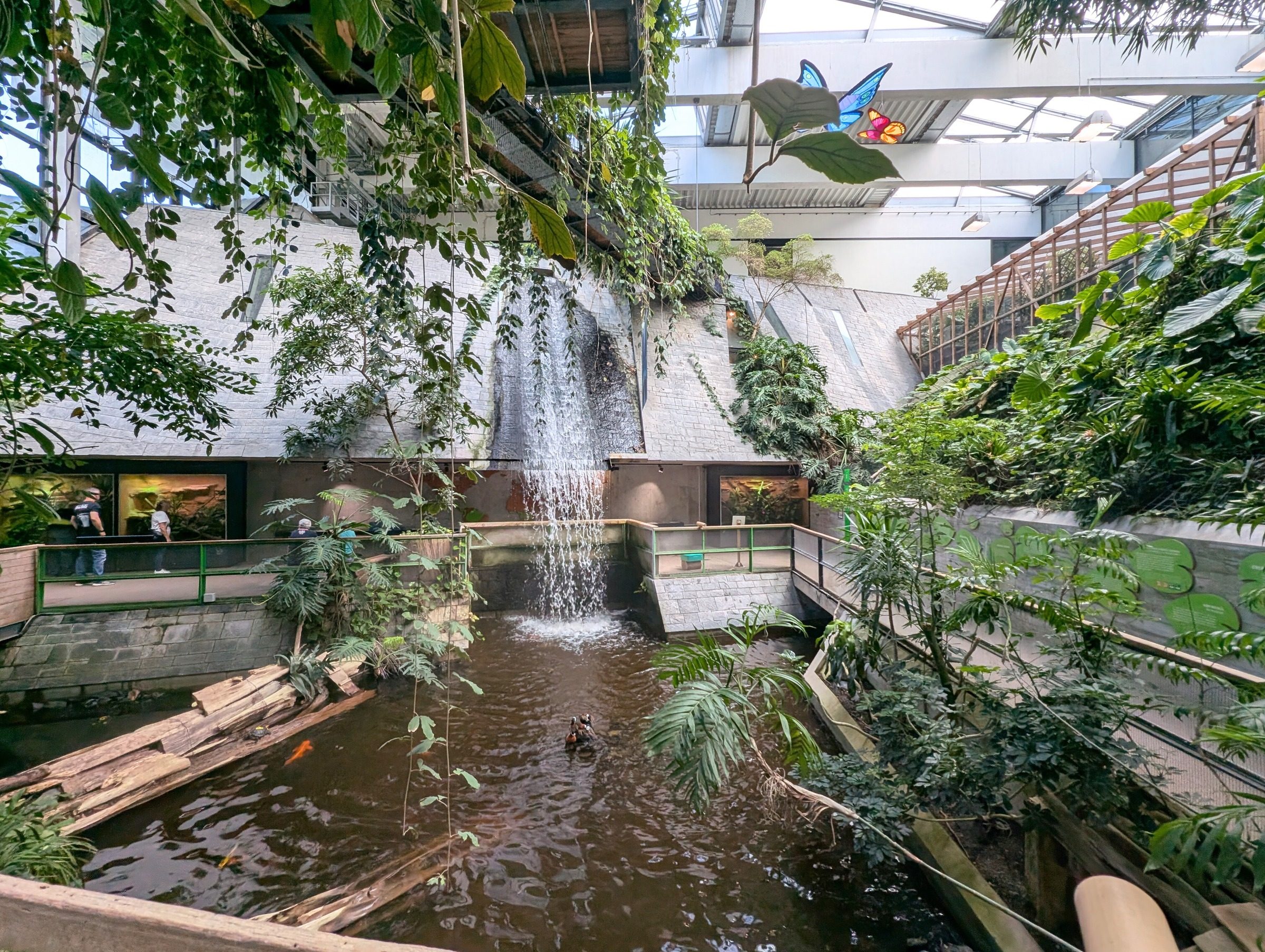 Biosphäre Potsdam – Ausflug mit Kindern, Foto 4