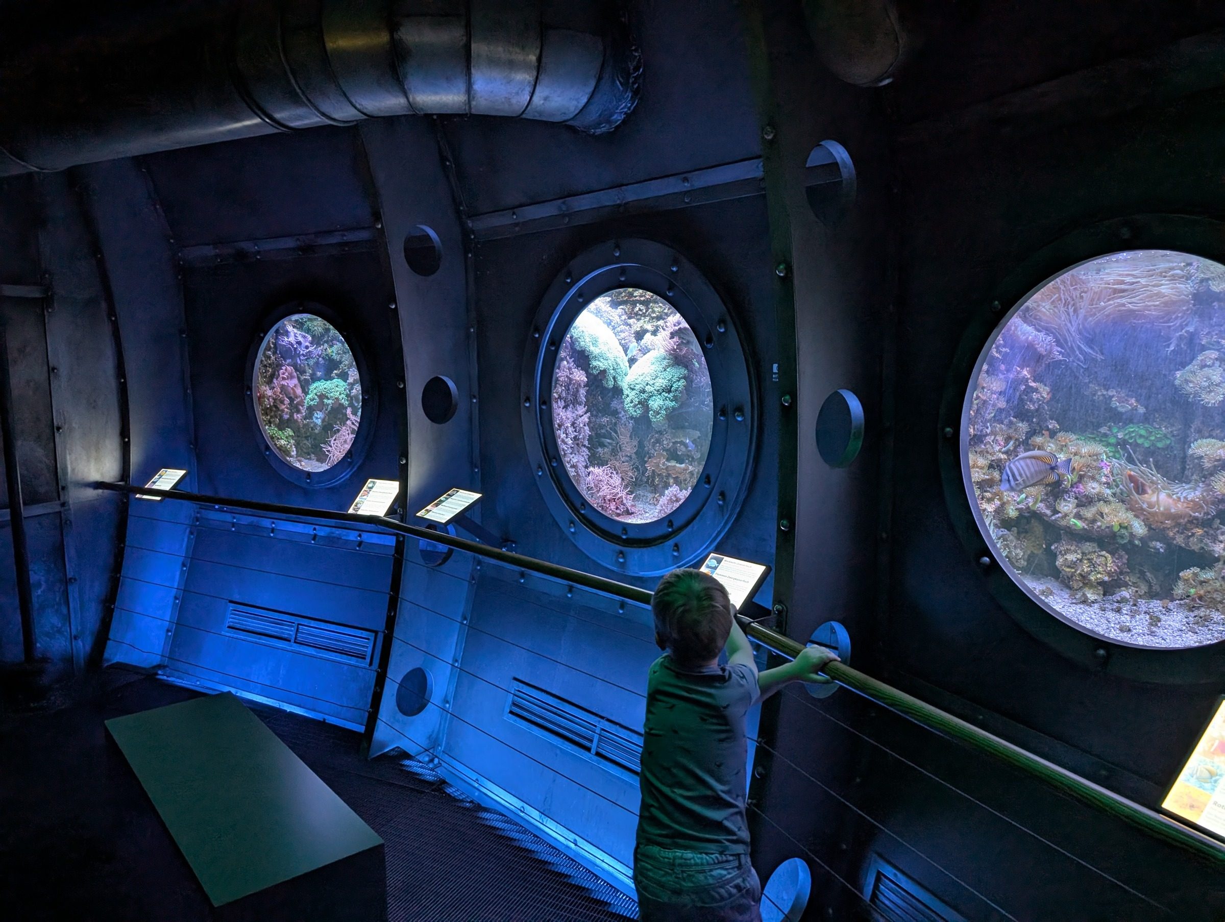 Biosphäre Potsdam – Ausflug mit Kindern, Foto 6