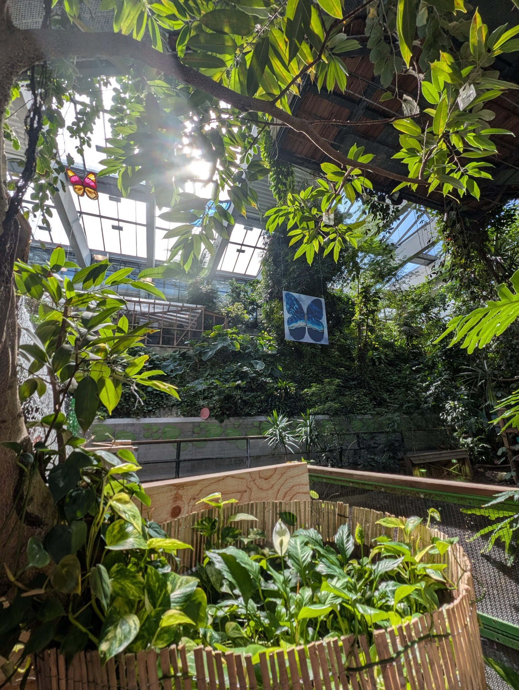 Biosphäre Potsdam – Ausflug mit Kindern, Foto 7