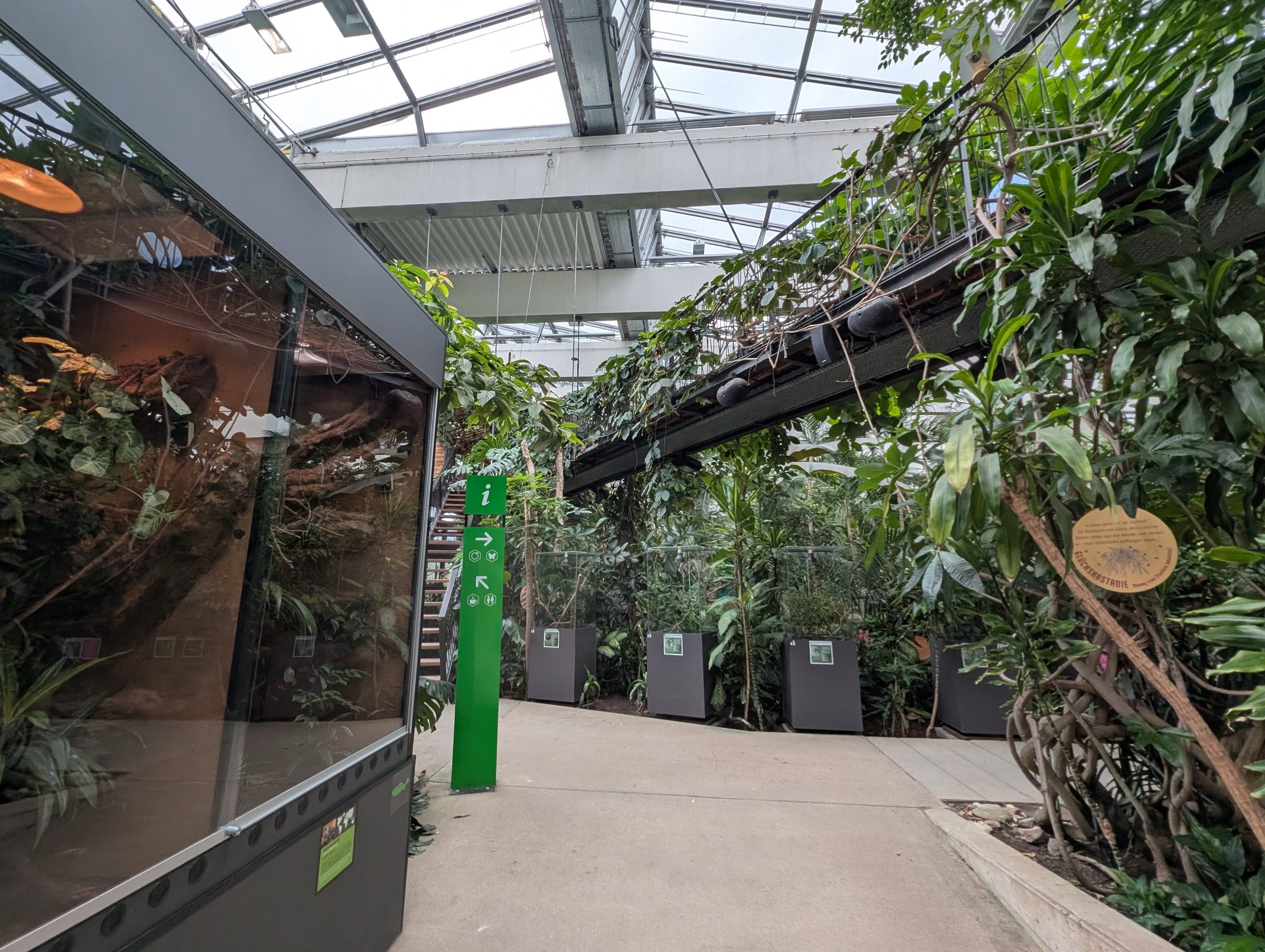 Biosphäre Potsdam – Ausflug mit Kindern, Foto 8