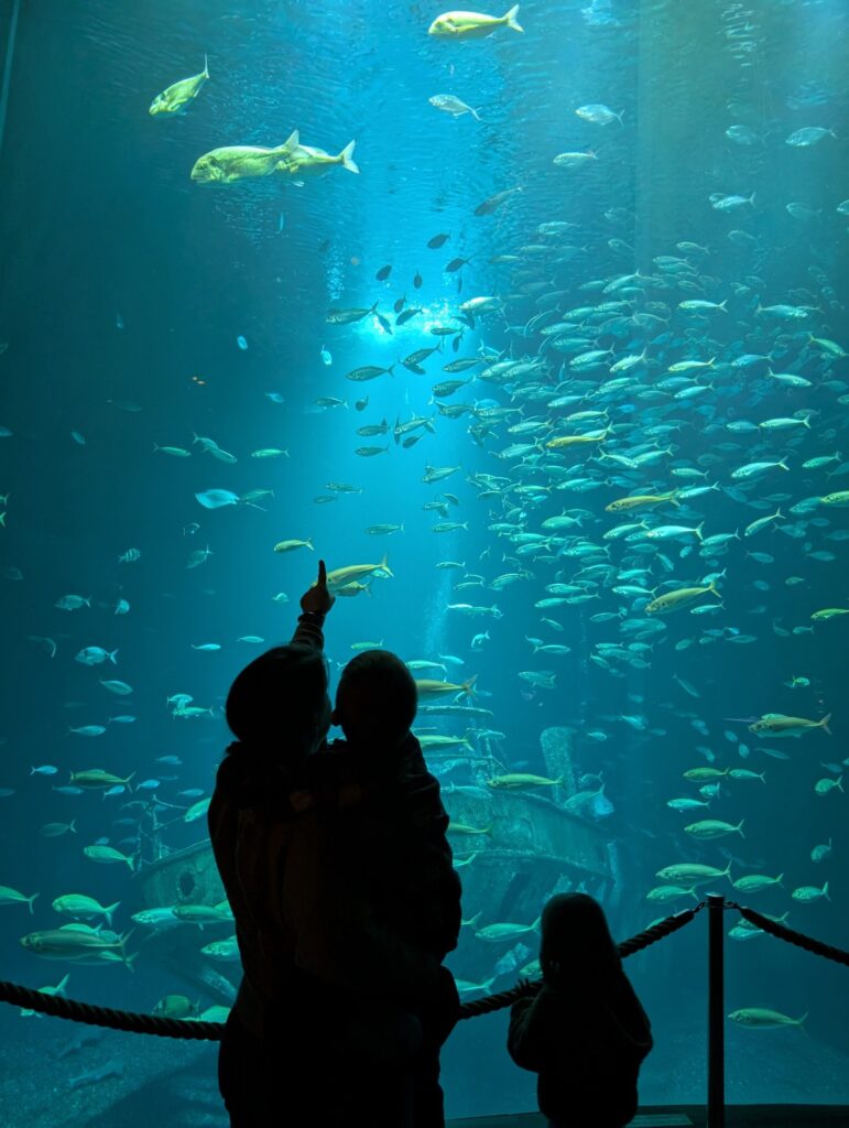 OZEANEUM Stralsund