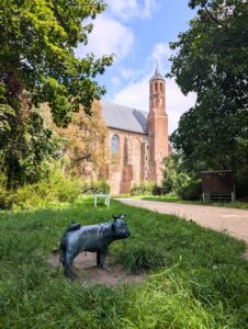 Findet alle Waldmöpse in Brandenburg
