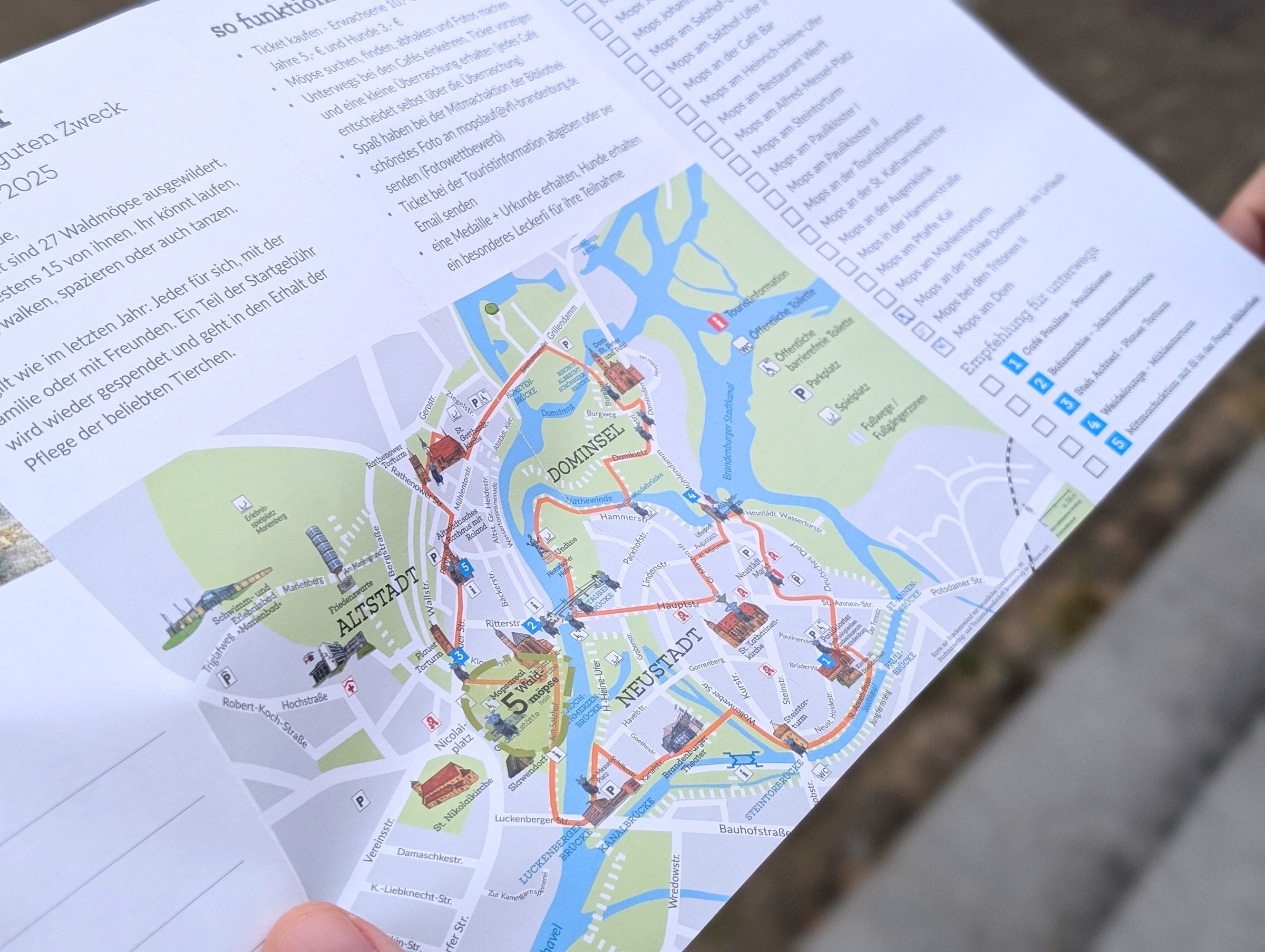 Findet alle Waldmöpse in Brandenburg – Ausflug mit Kindern, Foto 3