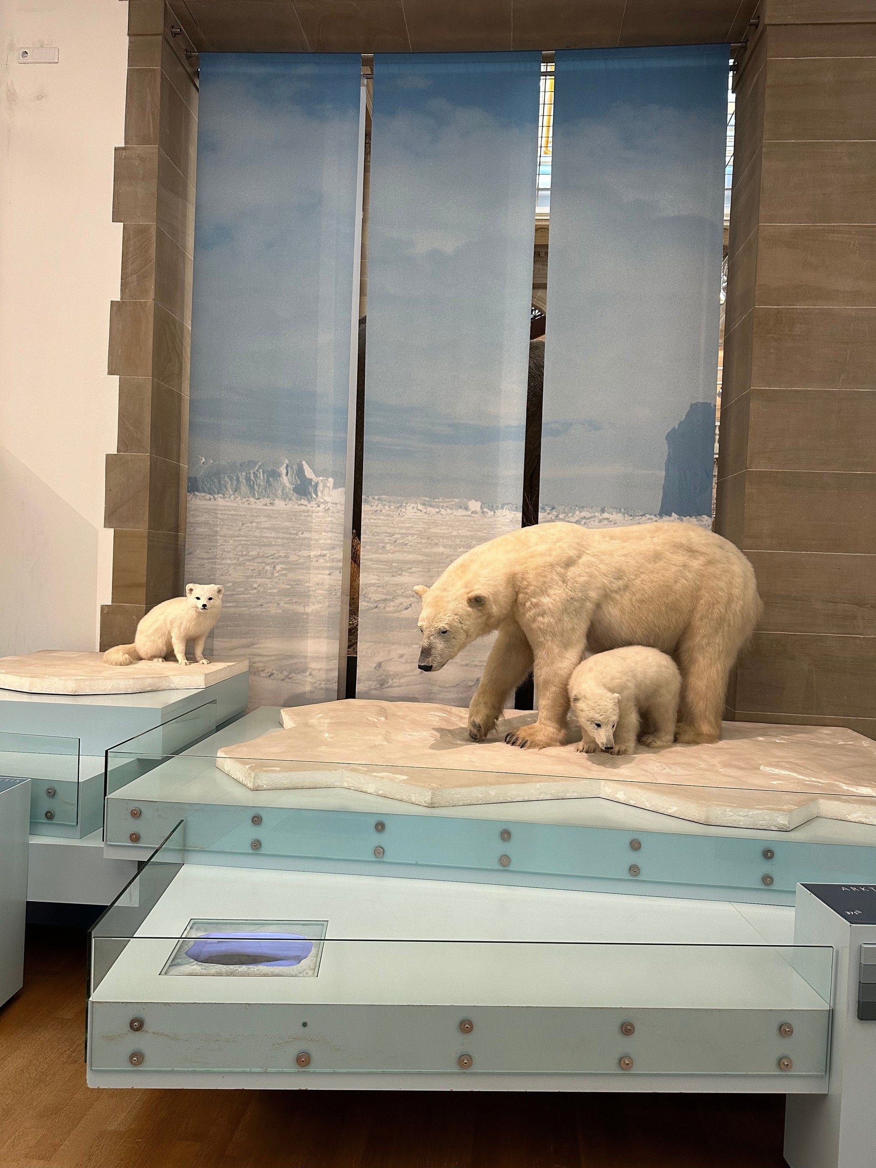Museum König in Bonn – Ausflug mit Kindern, Foto 7