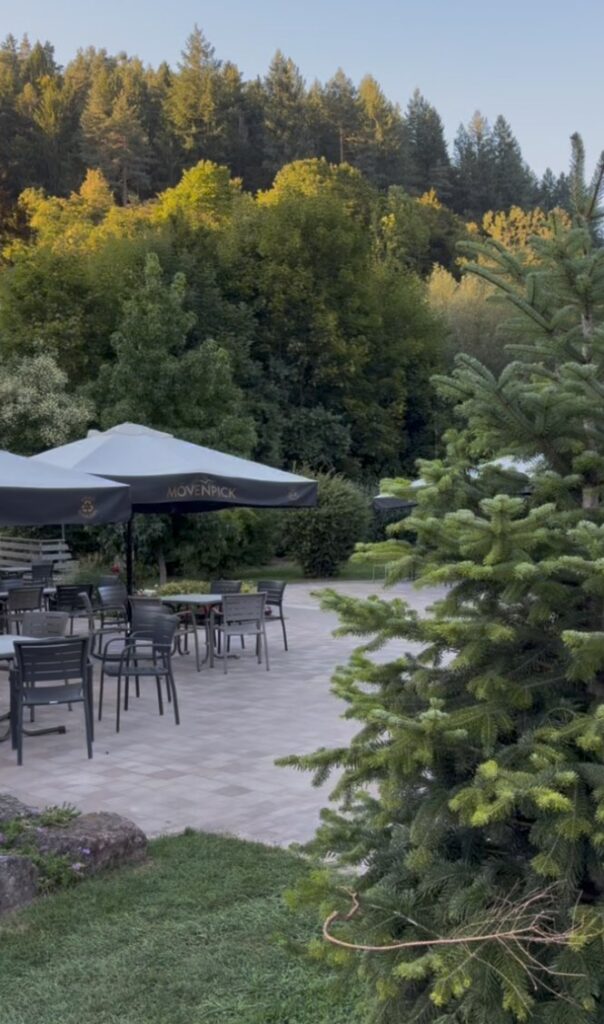 Café Monbachtal in Bad Liebenzell