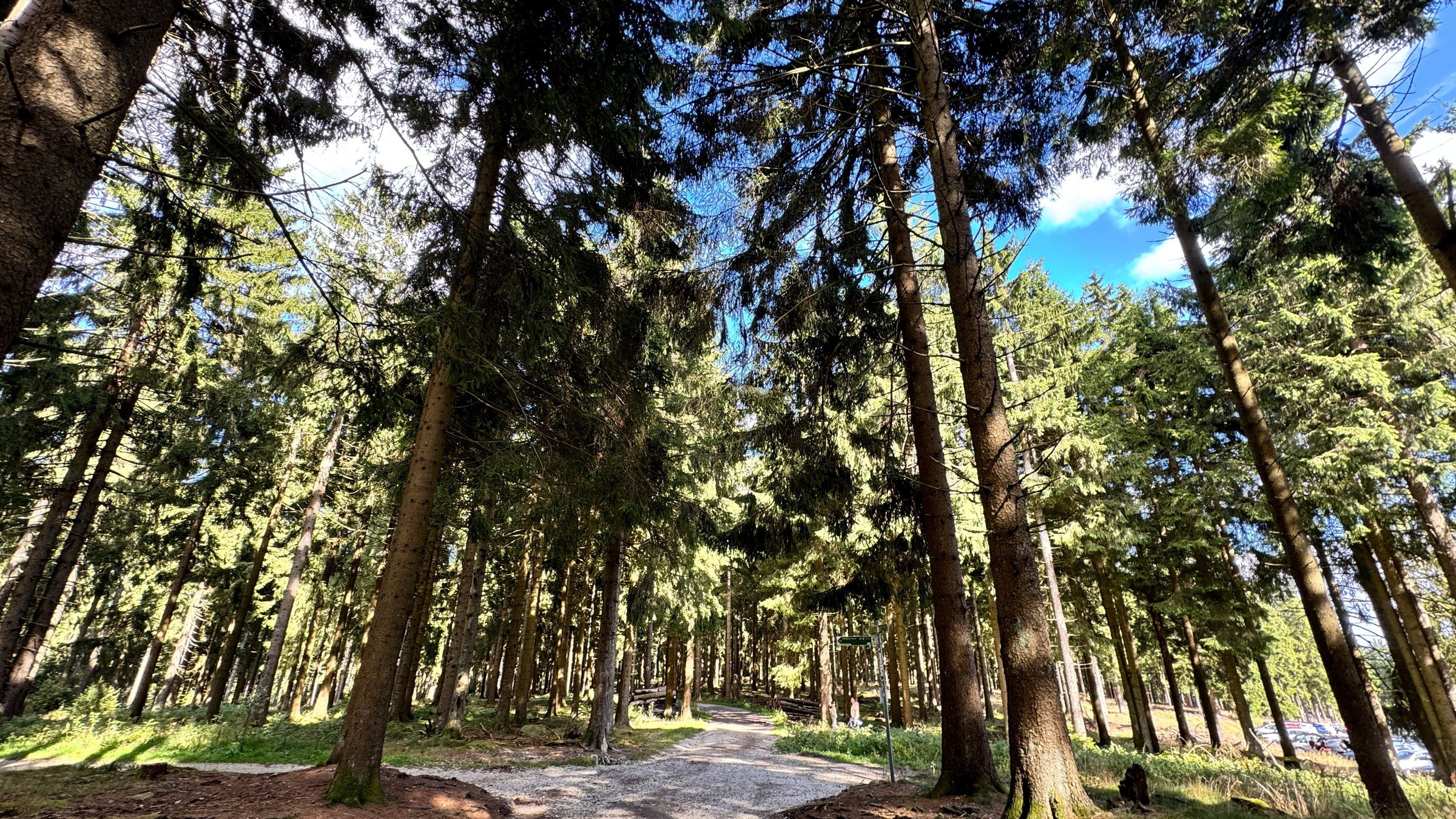 Feldberg Drachenfest – Ausflug mit Kindern, Foto 4