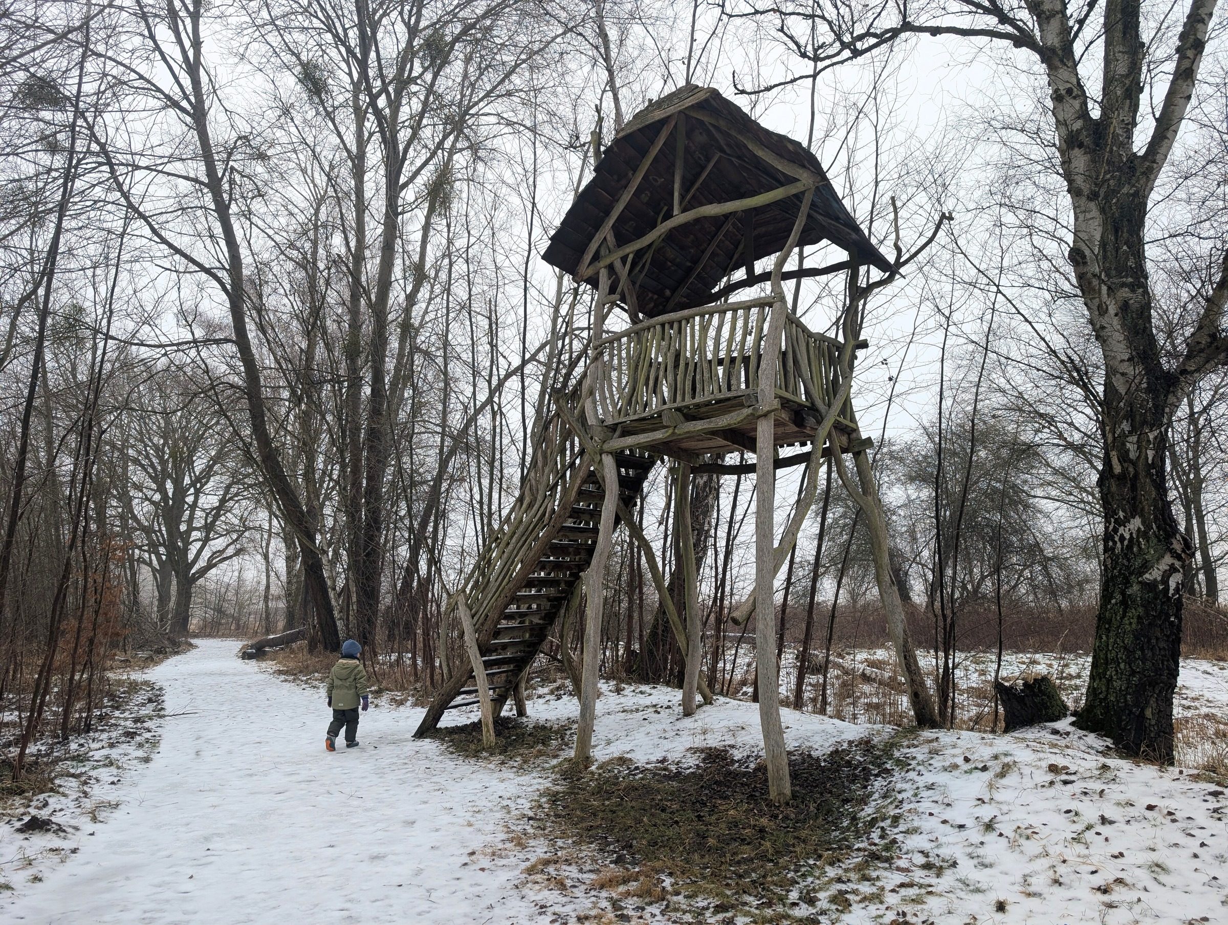 Waldwichtelpfad und Spandauer Forst in Schönwalde – Ausflug mit Kindern, Foto 3