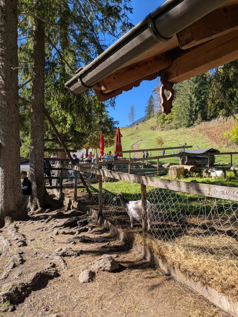 Schopper Alm in Kiefersfelden