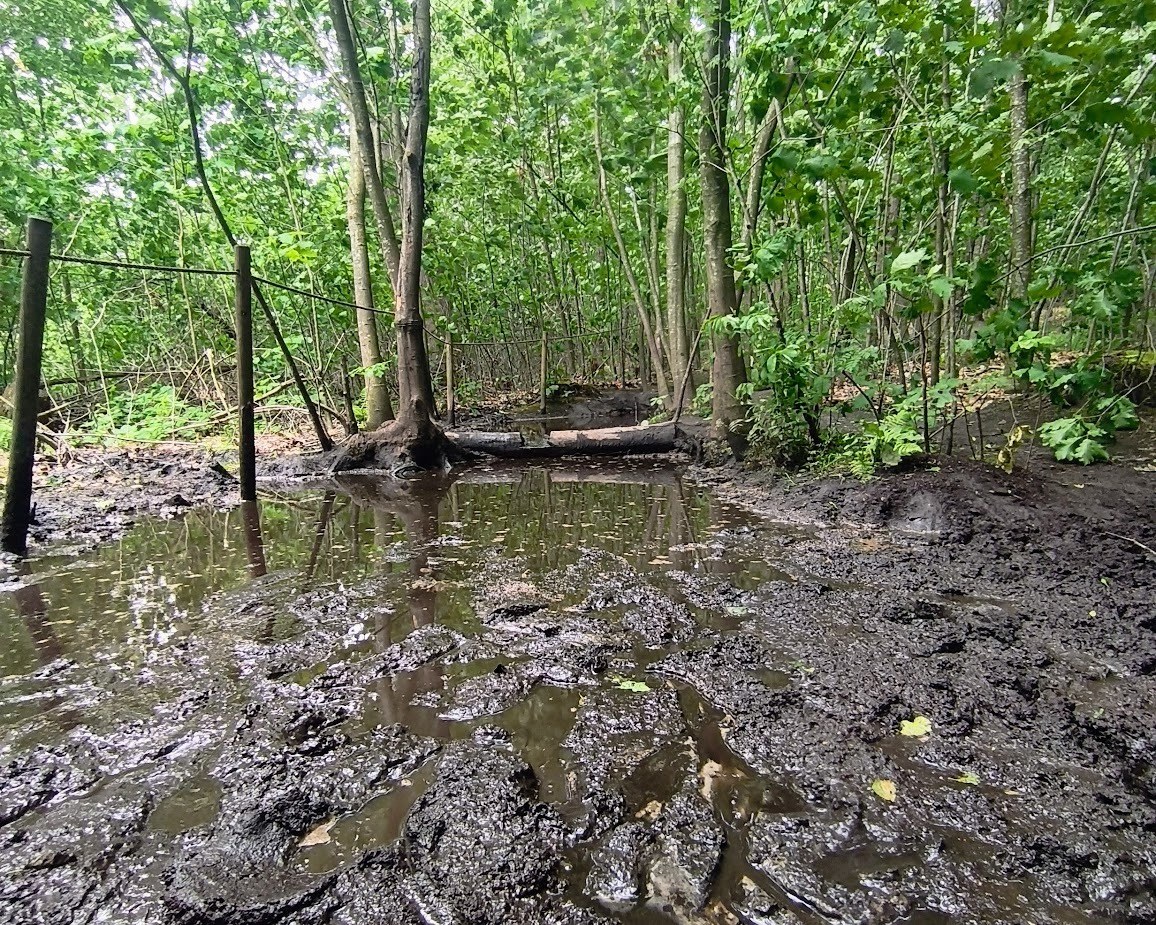 BloteVoetenPark in Brunssum – Ausflug mit Kindern, Foto 2