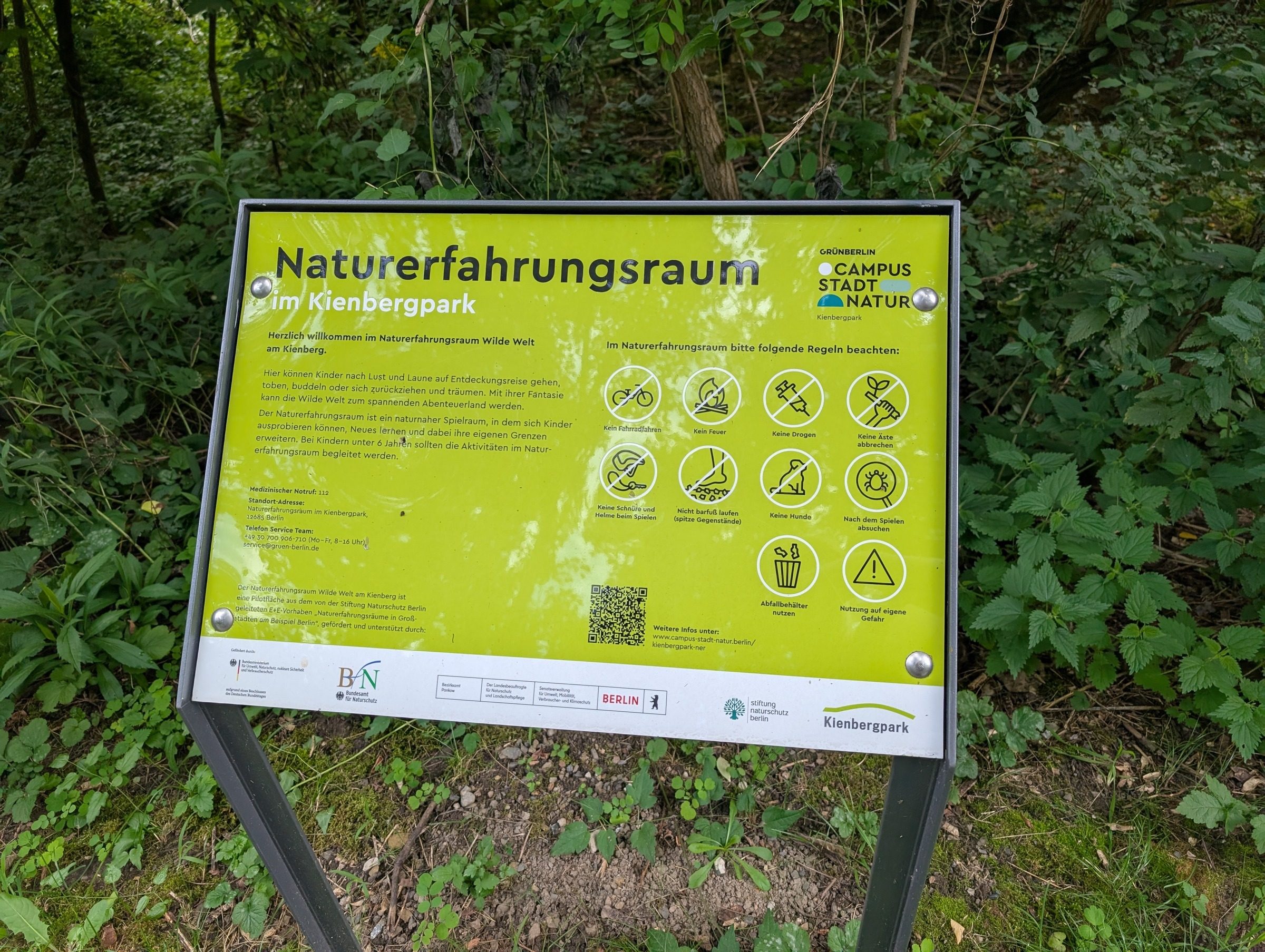 Idylle und Action: Kienbergpark in Berlin – Ausflug mit Kindern, Foto 3