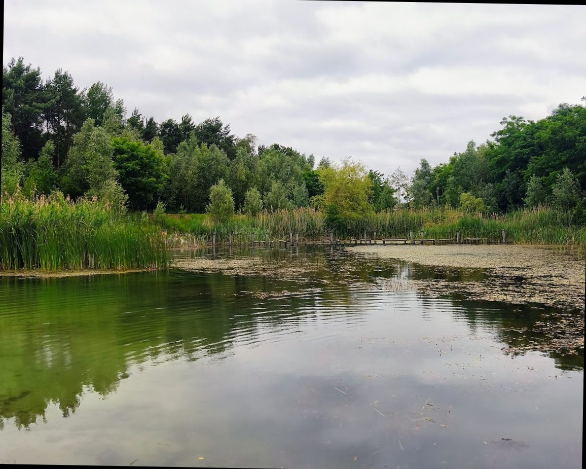 BloteVoetenPark in Brunssum – Ausflug mit Kindern, Foto 4
