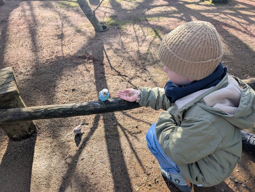 Vogelpark Marlow