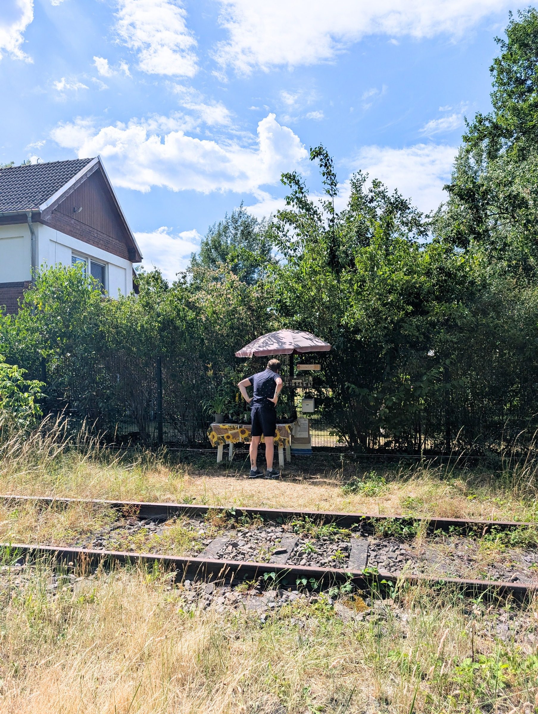 Erlebnisbahn Zossen: Draisinen-Fahrt – Ausflug mit Kindern, Foto 4