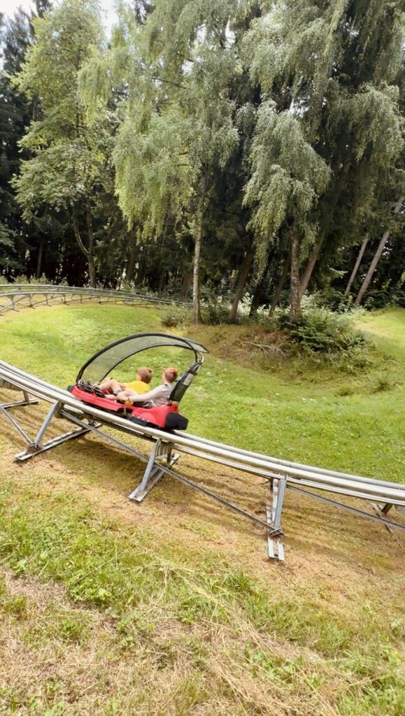 Bärenbob Sommerrodelbahn in Grafenau