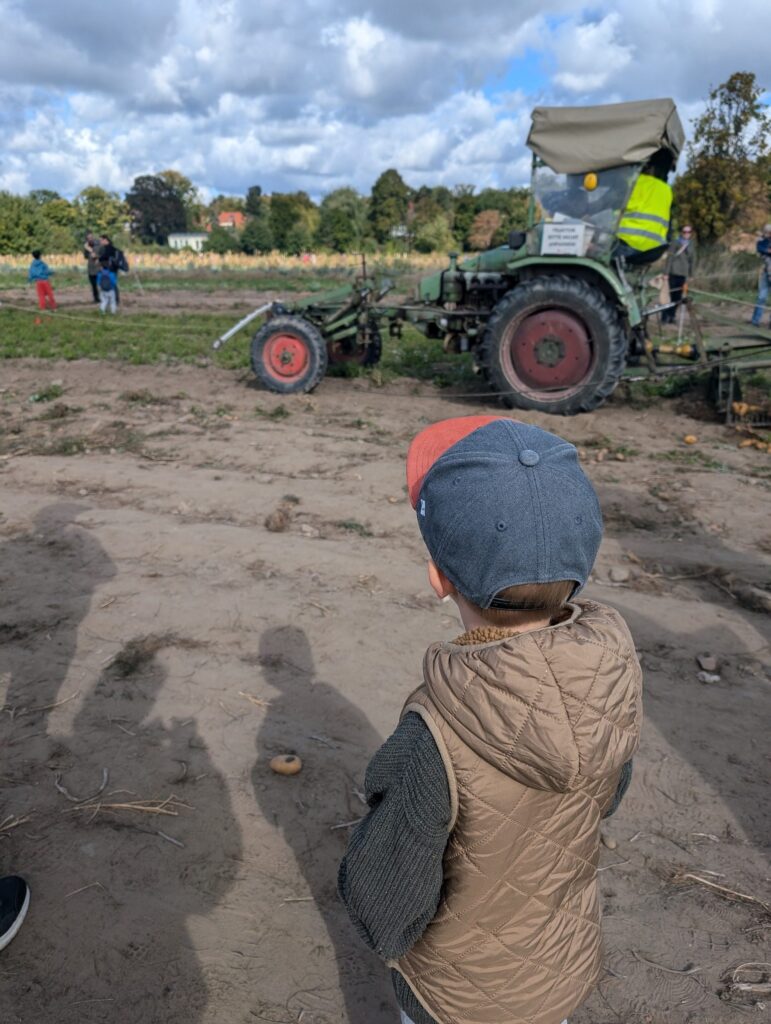 Landwirtschaft mitten in Berlin
