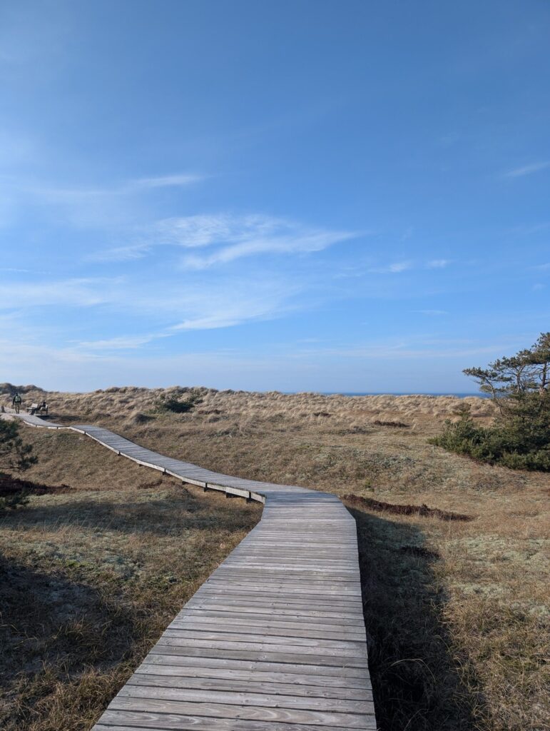 Rundwanderweg Darßer Ort in Born