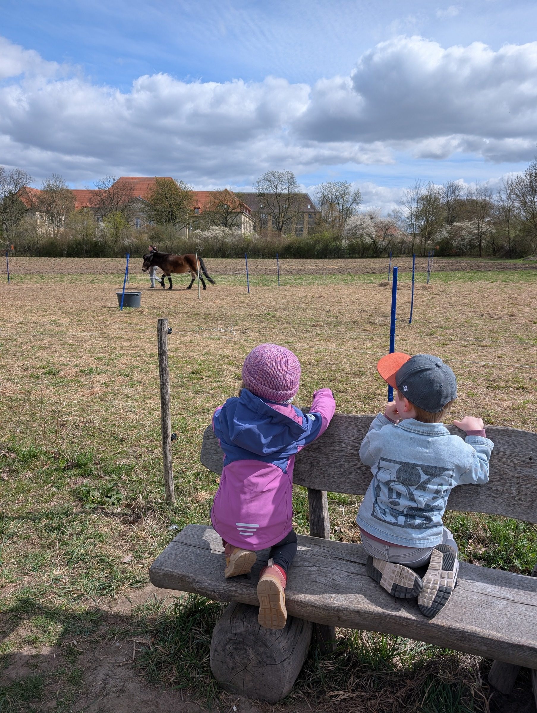 Landwirtschaft mitten in Berlin – Ausflug mit Kindern, Foto 2