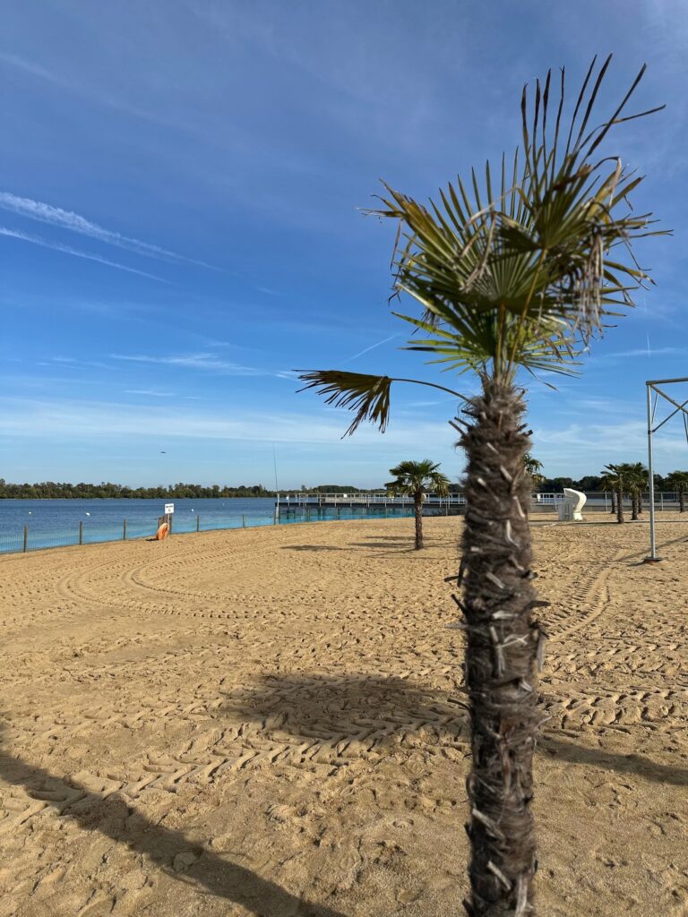 Zülpicher Seepark