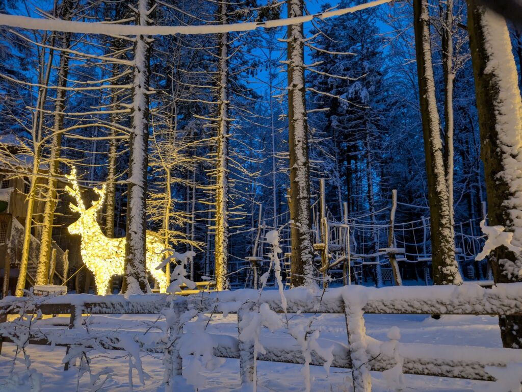 Lichterzauber am Baumwipfelpfad