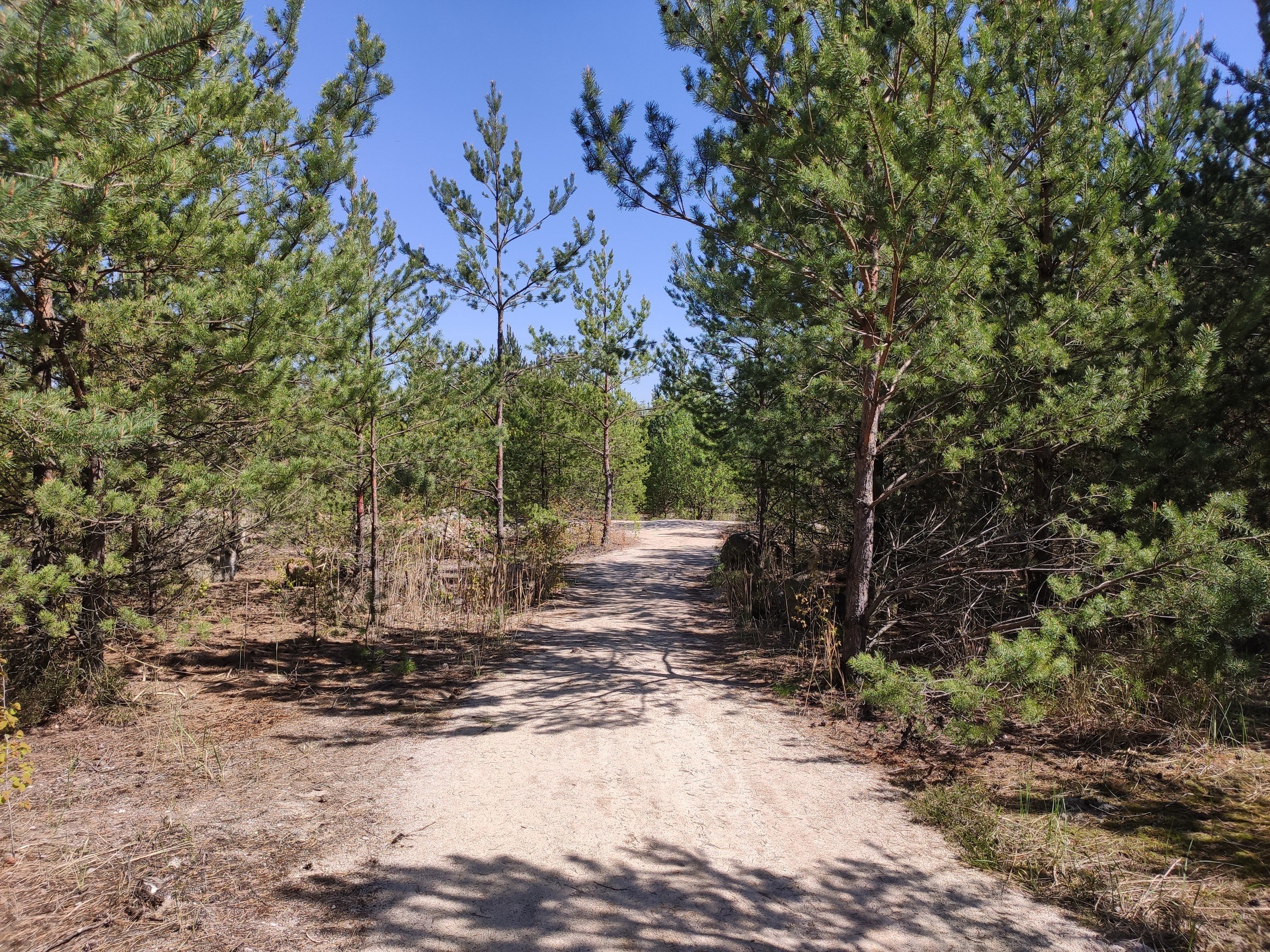 Burgruine Caminau – Ausflug mit Kindern, Foto 4