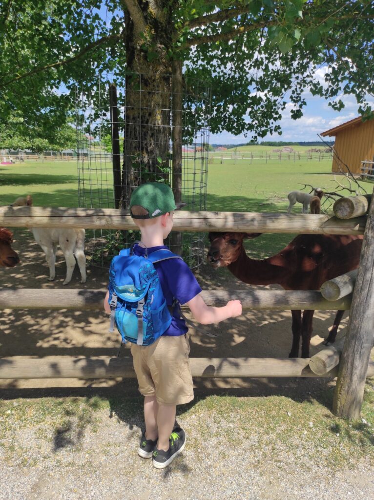 Wildfreizeitpark Oberreith in Unterreit