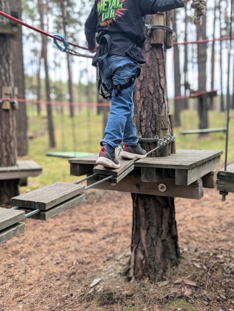 CLIMB UP! – Kletterwald in Klaistow für Groß & Klein