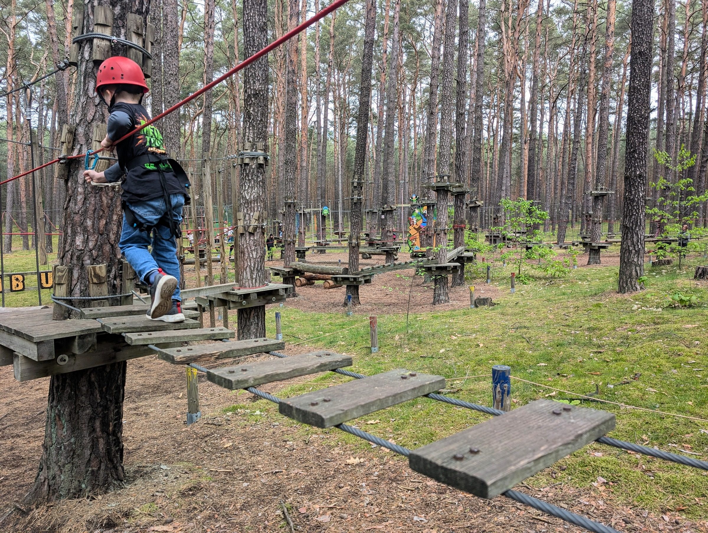 CLIMB UP! – Kletterwald in Klaistow für Groß & Klein – Ausflug mit Kindern, Foto 4