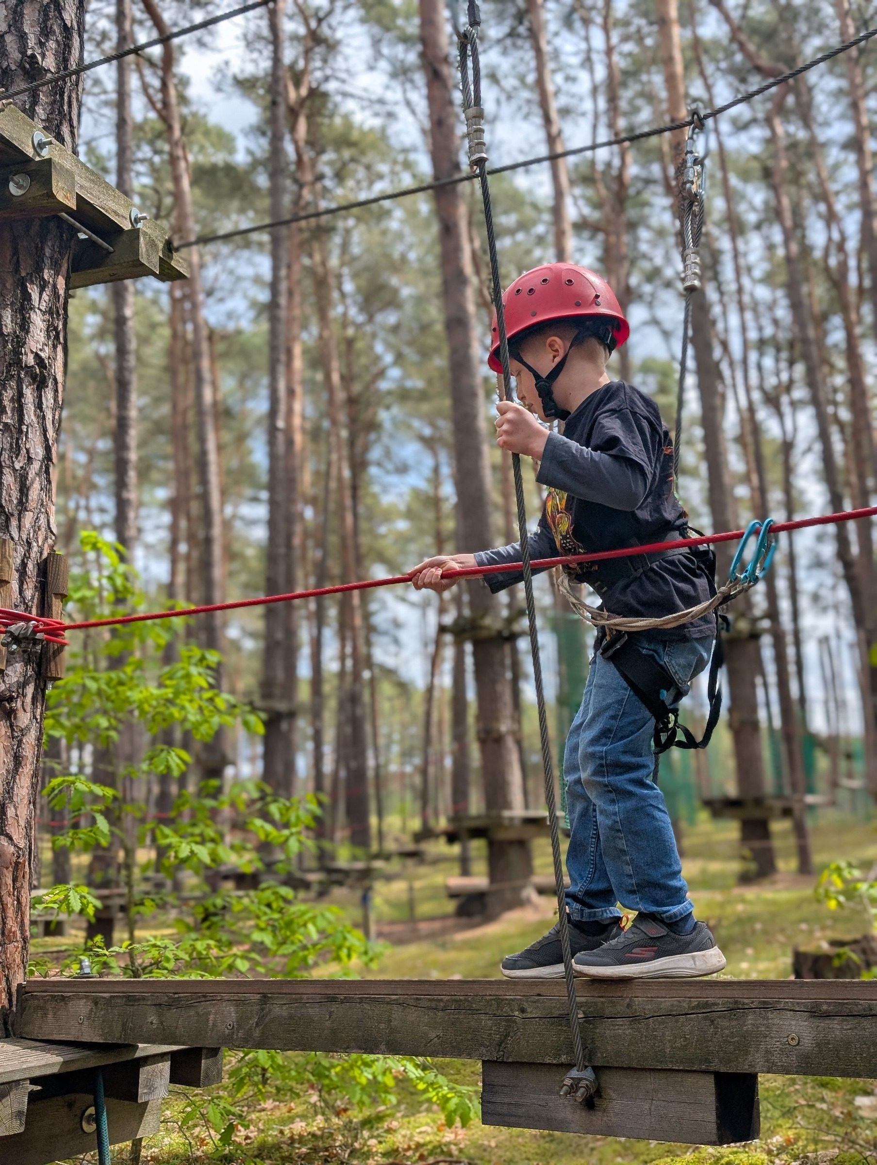 CLIMB UP! – Kletterwald in Klaistow für Groß & Klein – Ausflug mit Kindern, Foto 8