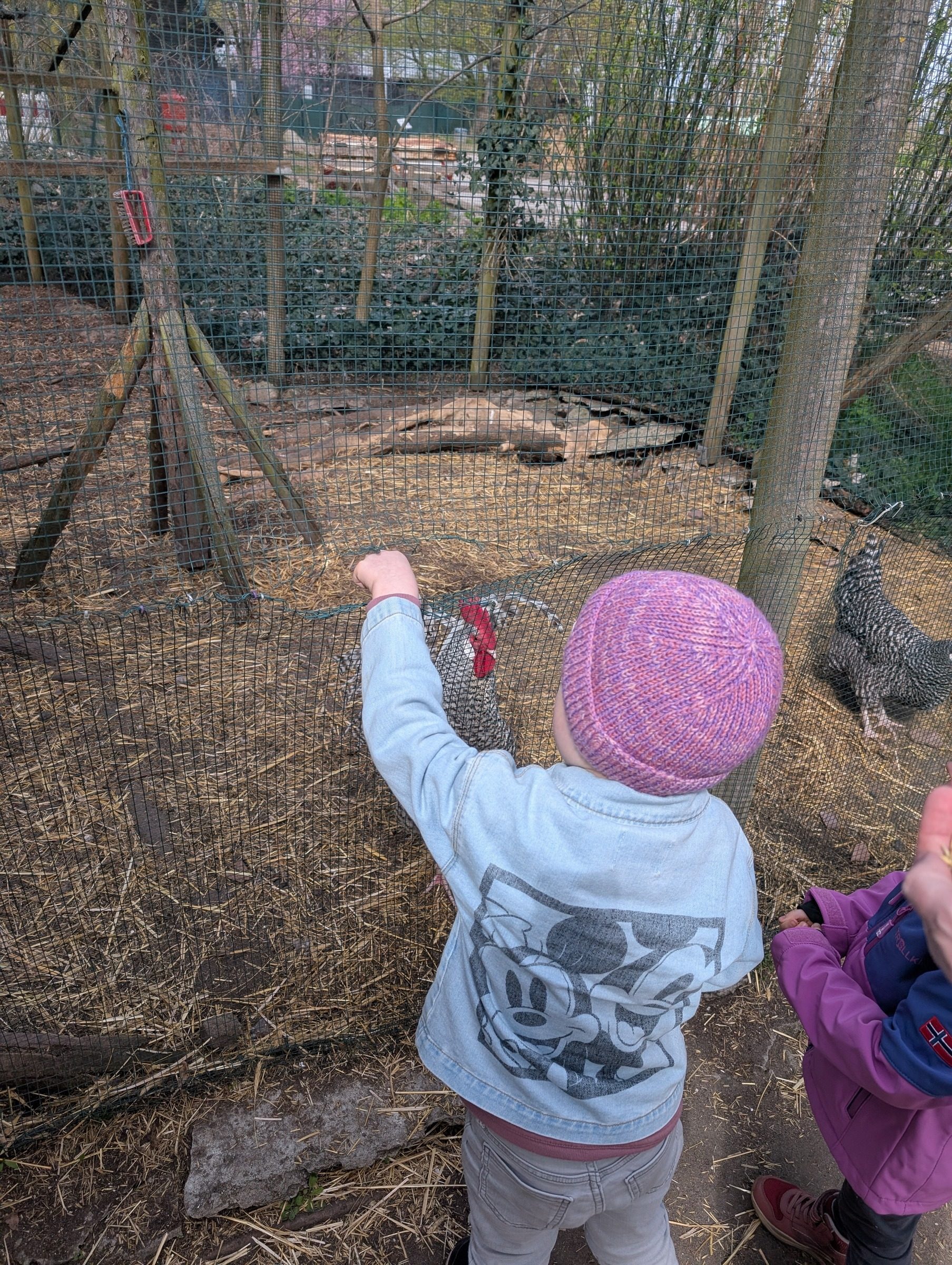 Landwirtschaft mitten in Berlin – Ausflug mit Kindern, Foto 7