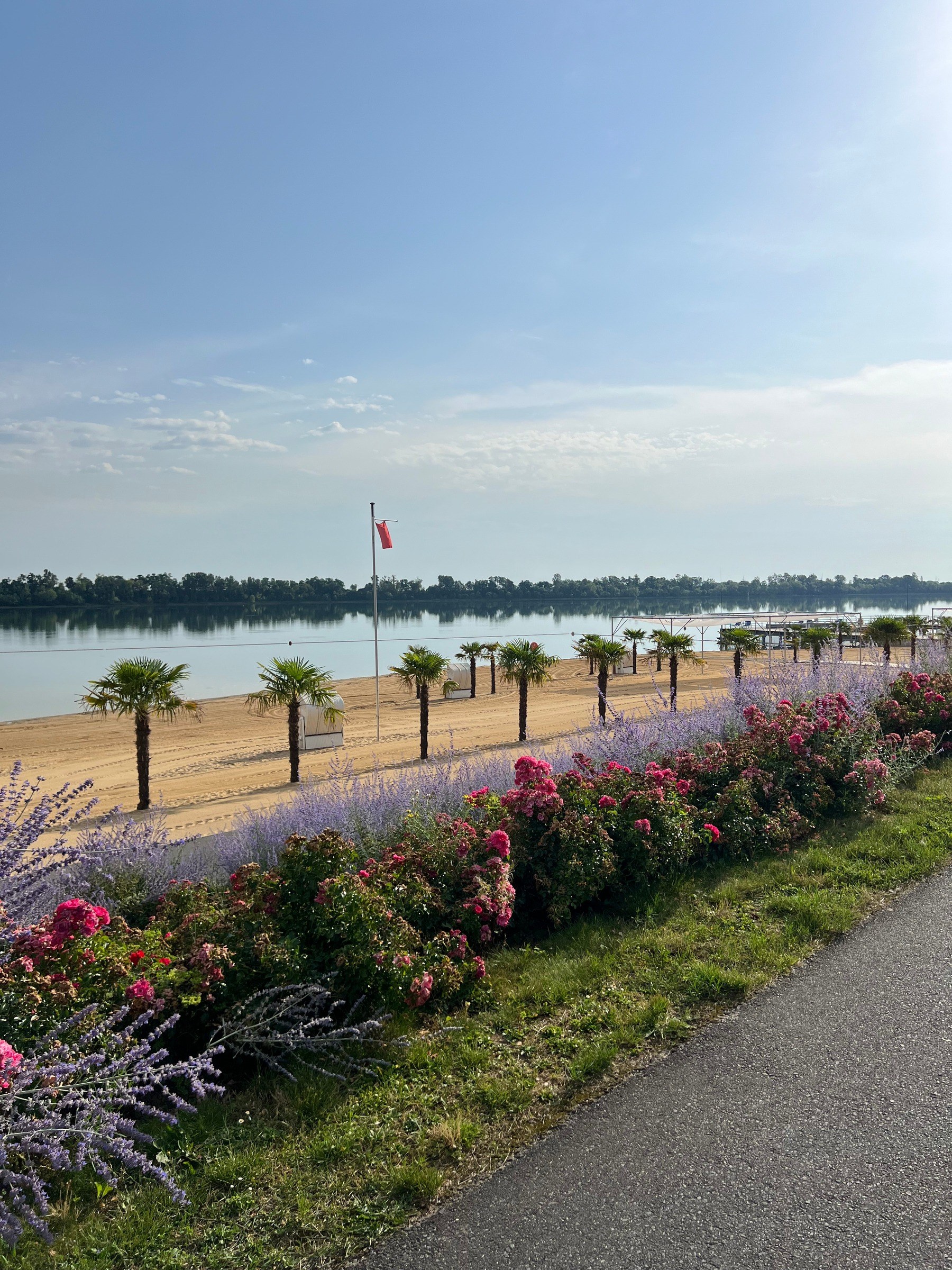 Zülpicher Seepark – Ausflug mit Kindern, Foto 5