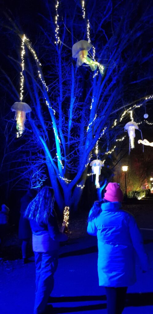 Christmas Lights im Kurpark Bad König